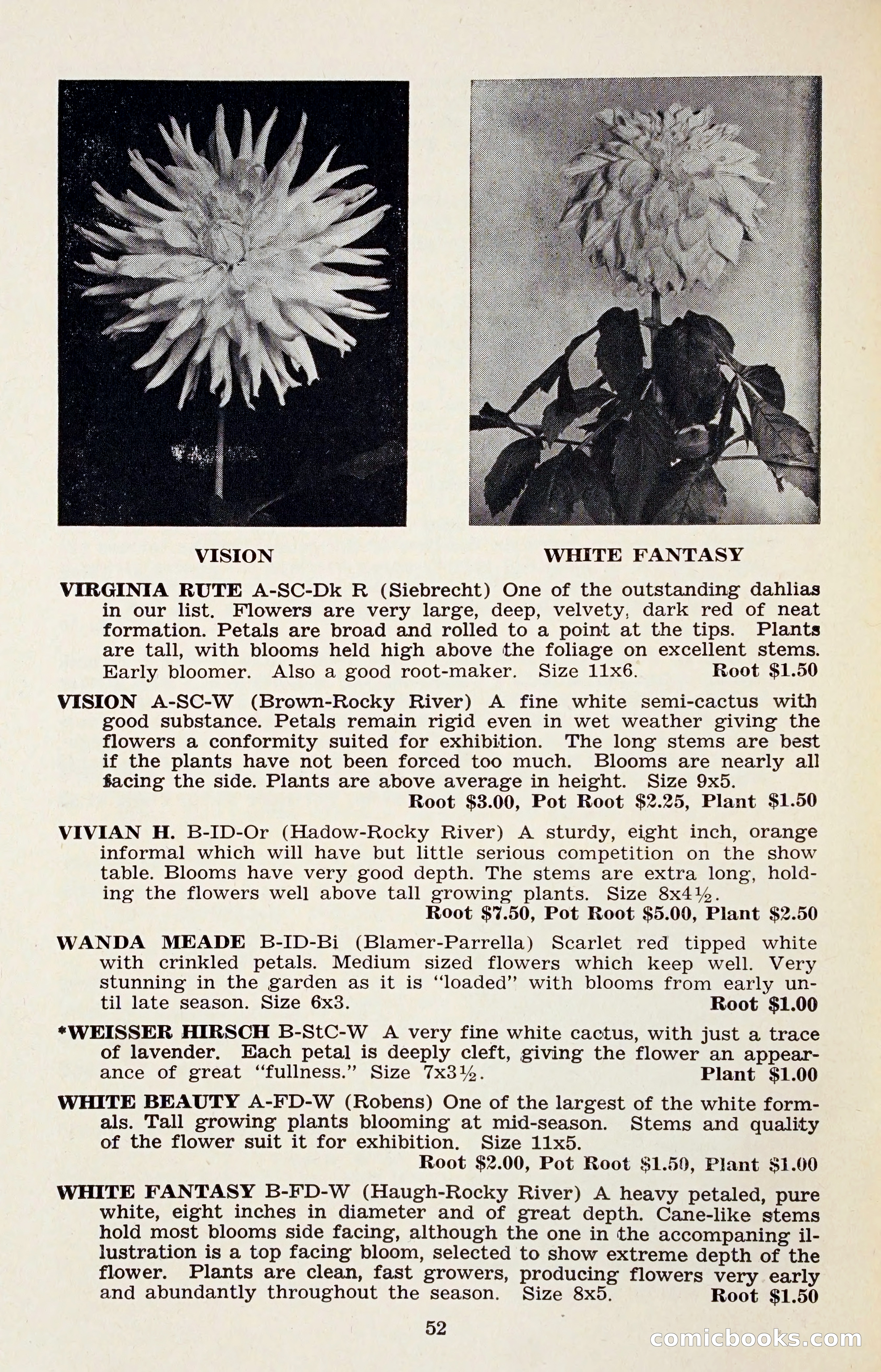 The Dahlia Blue Book for 1958 — page 55 of 67