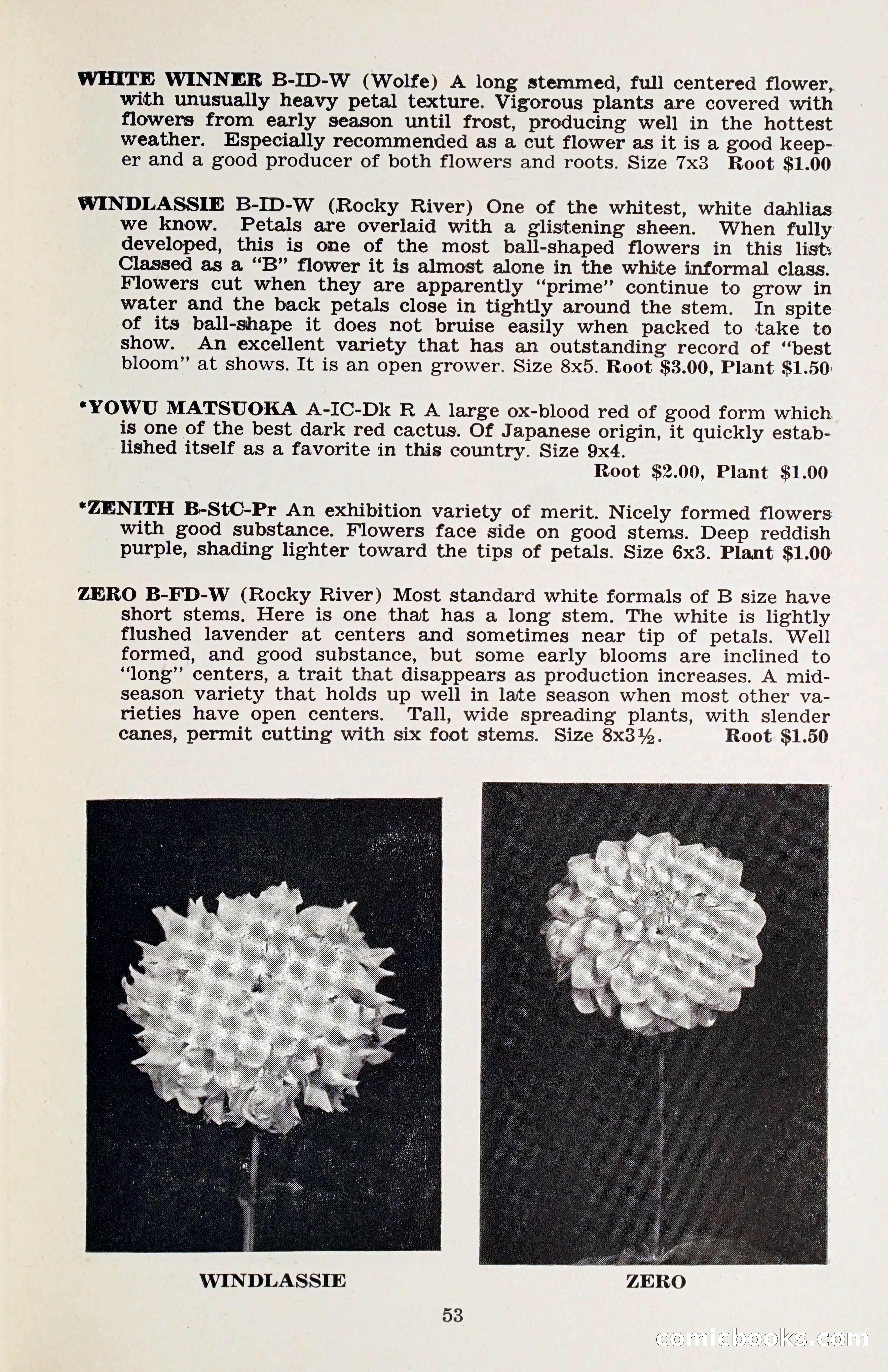 The Dahlia Blue Book for 1958 — page 56 of 67