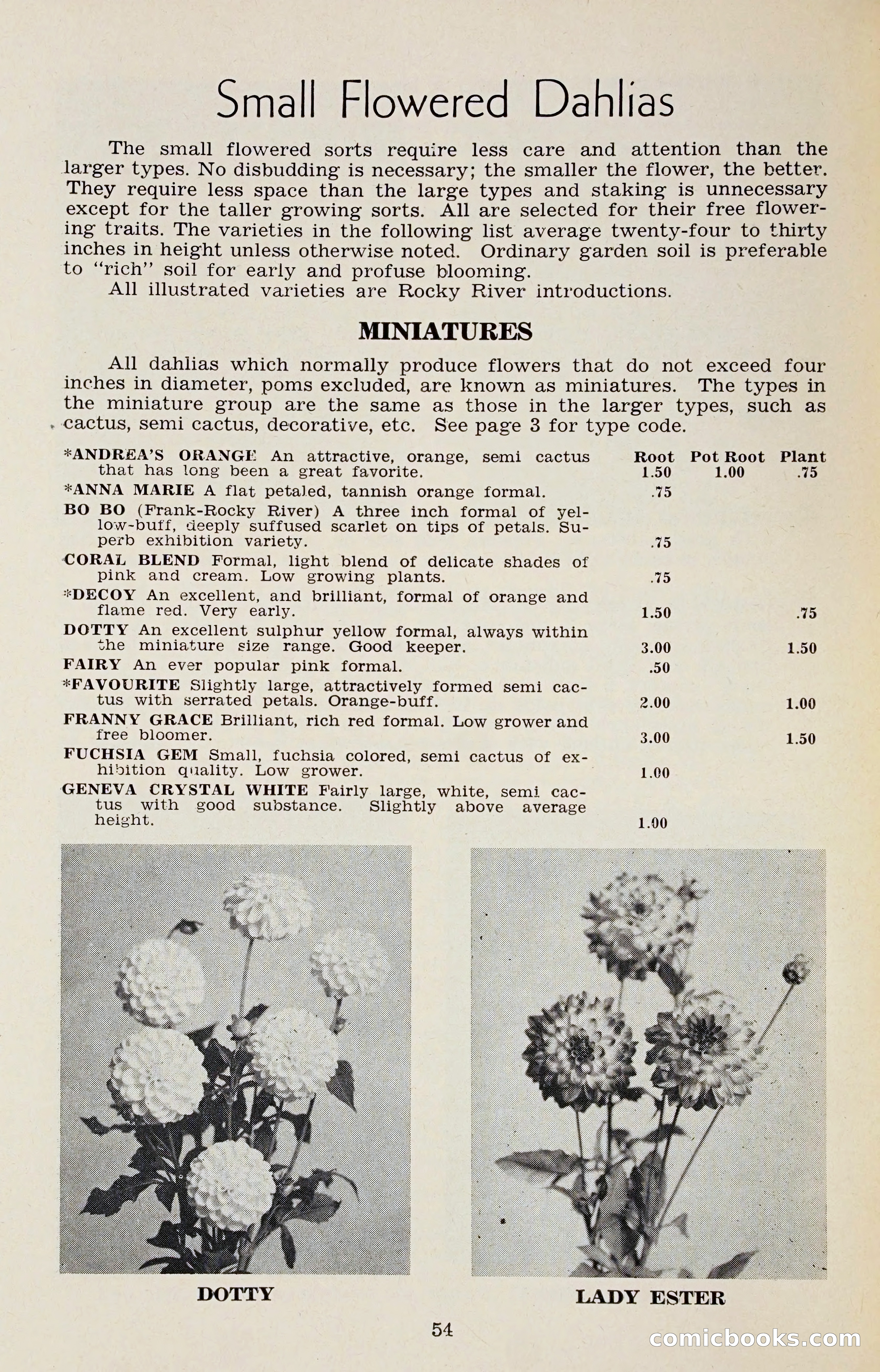 The Dahlia Blue Book for 1958 — page 57 of 67