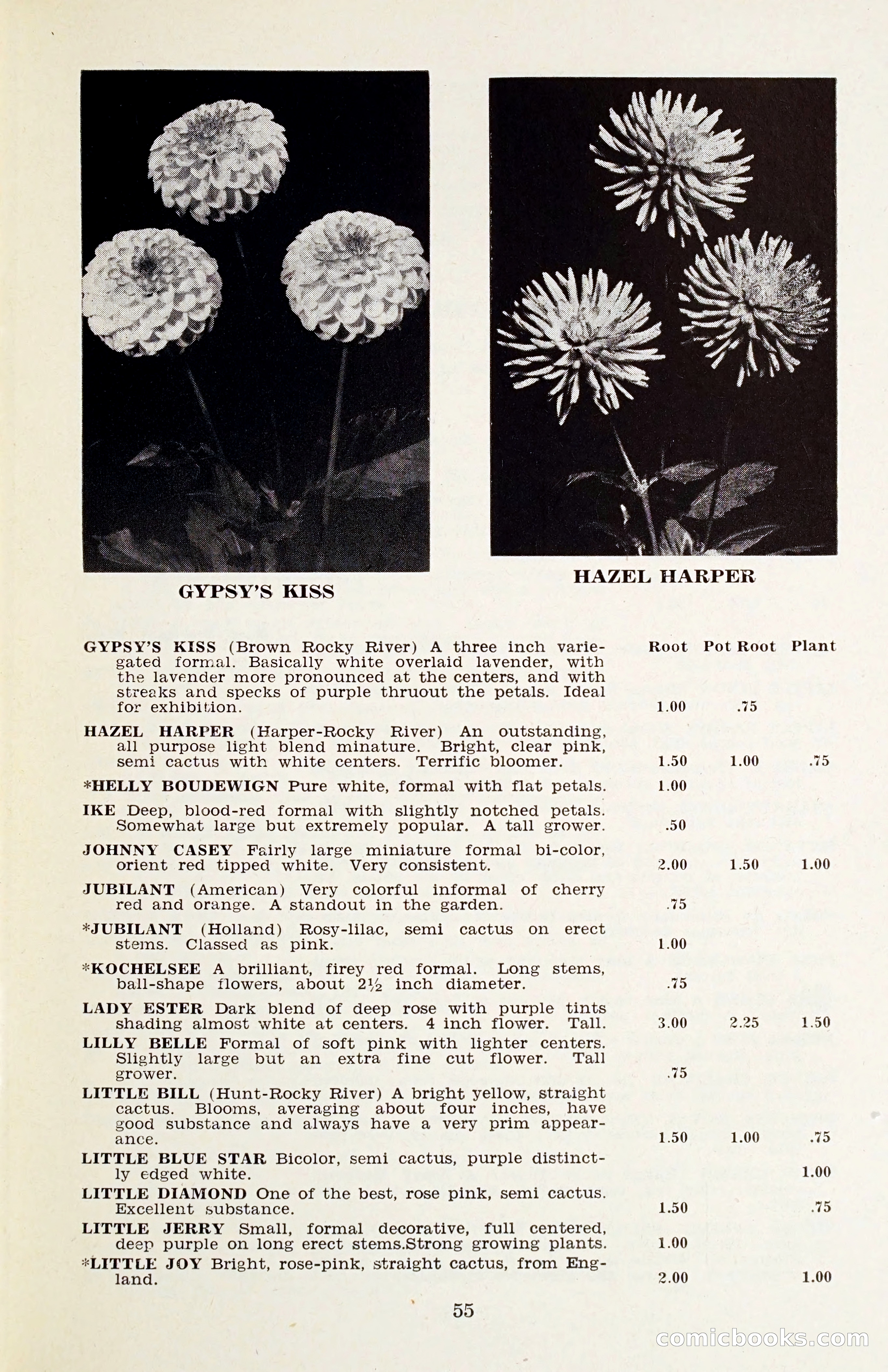 The Dahlia Blue Book for 1958 — page 58 of 67