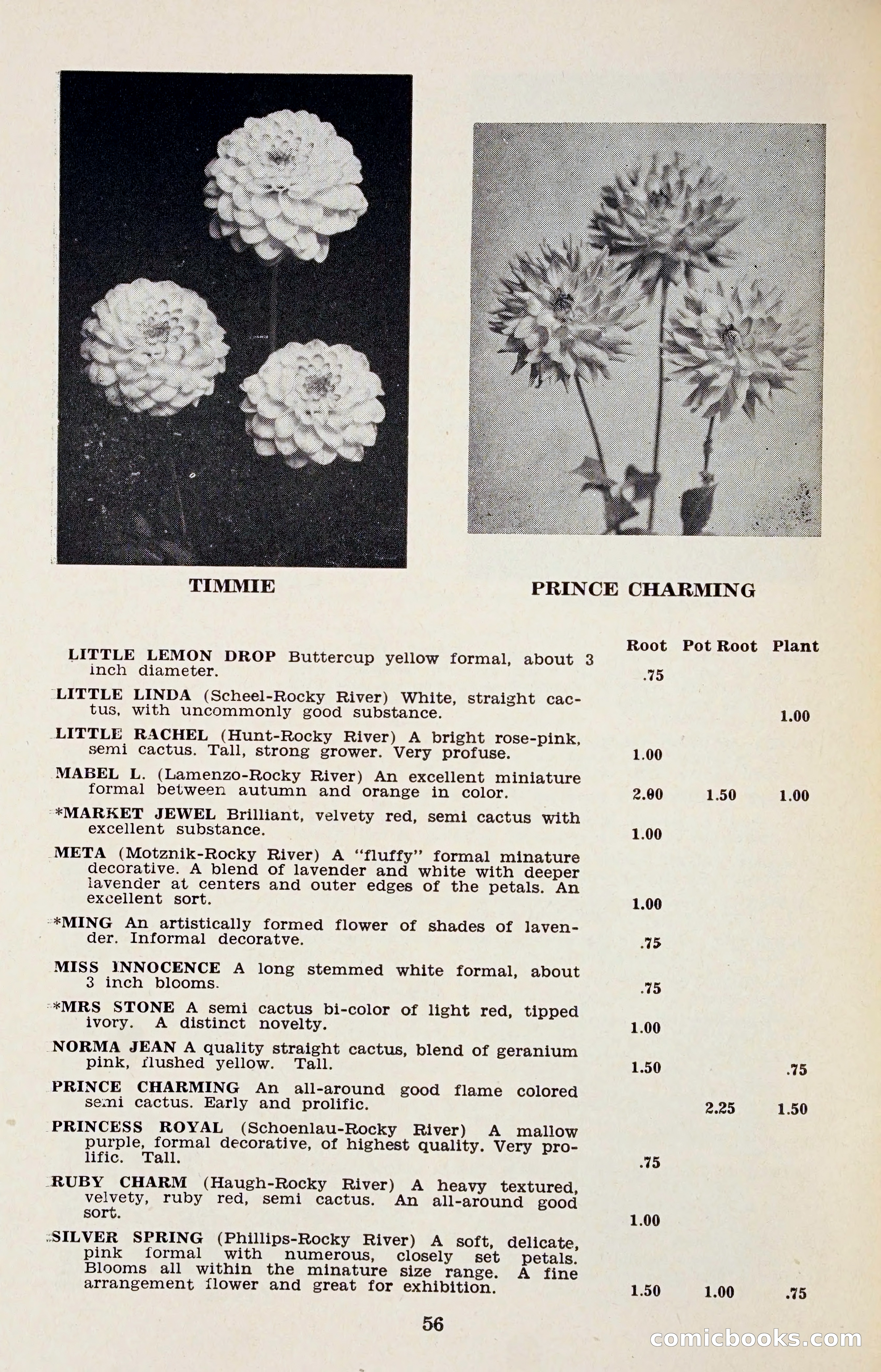 The Dahlia Blue Book for 1958 — page 59 of 67