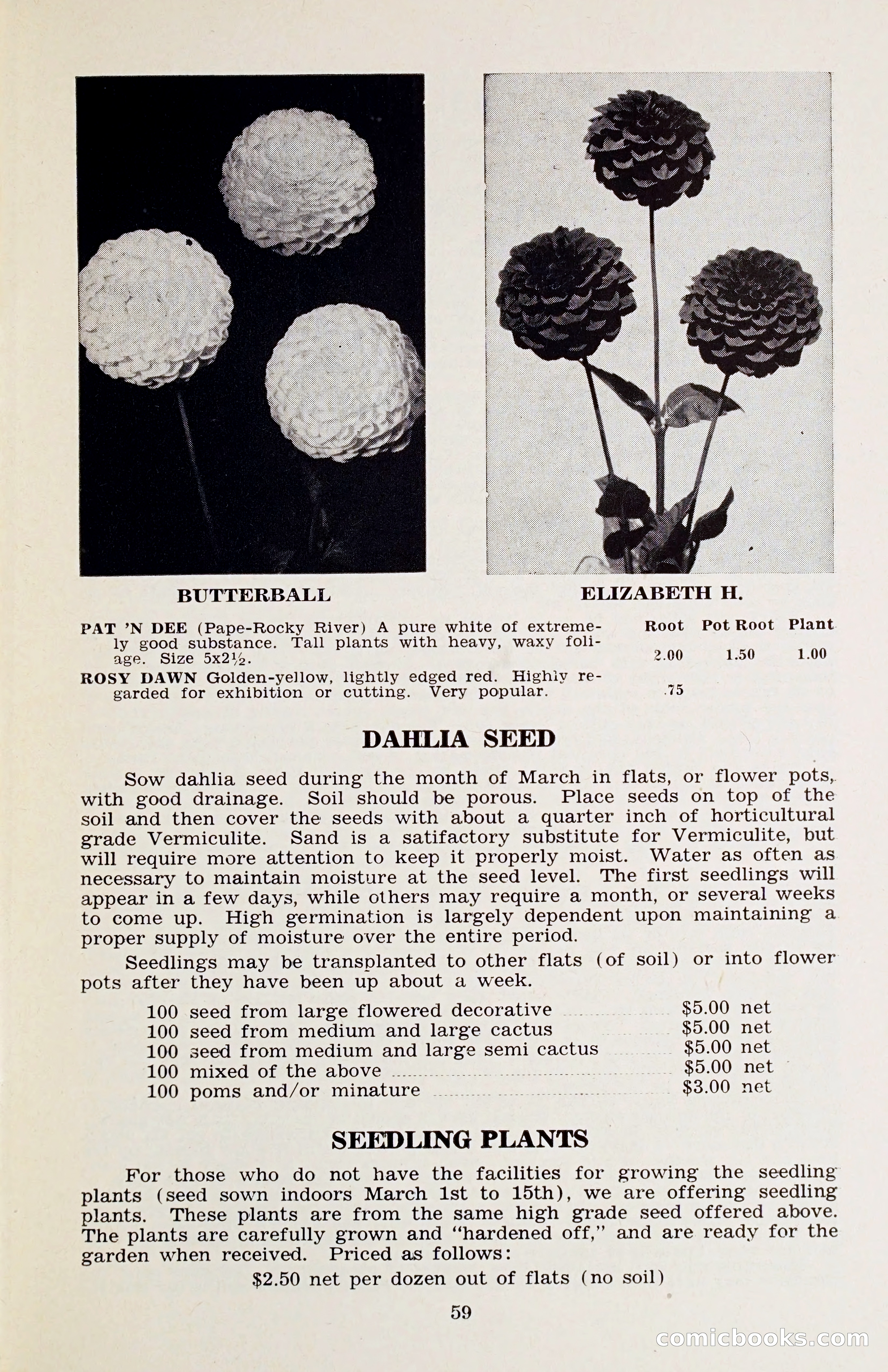 The Dahlia Blue Book for 1958 — page 62 of 67