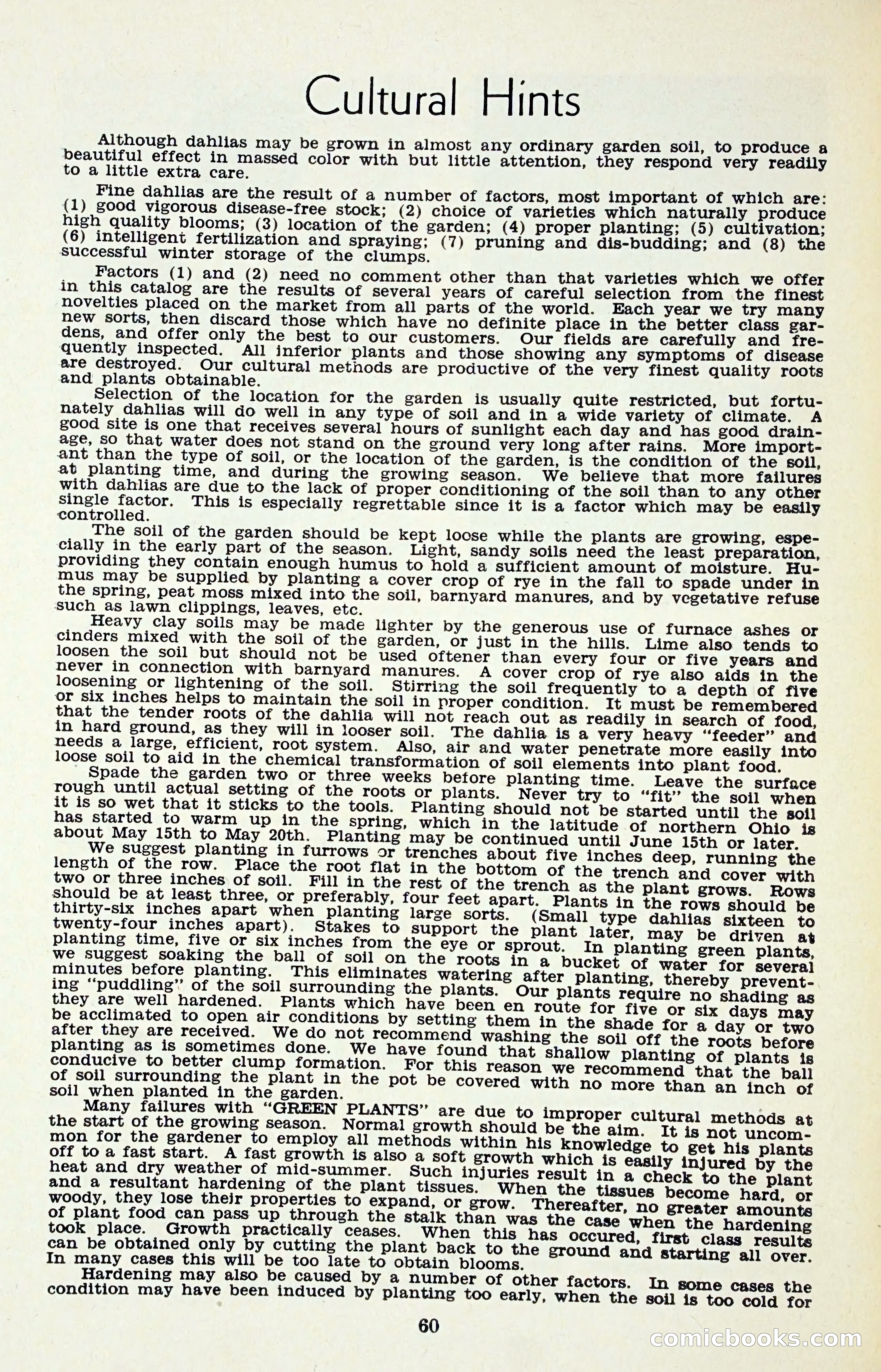 The Dahlia Blue Book for 1958 — page 63 of 67