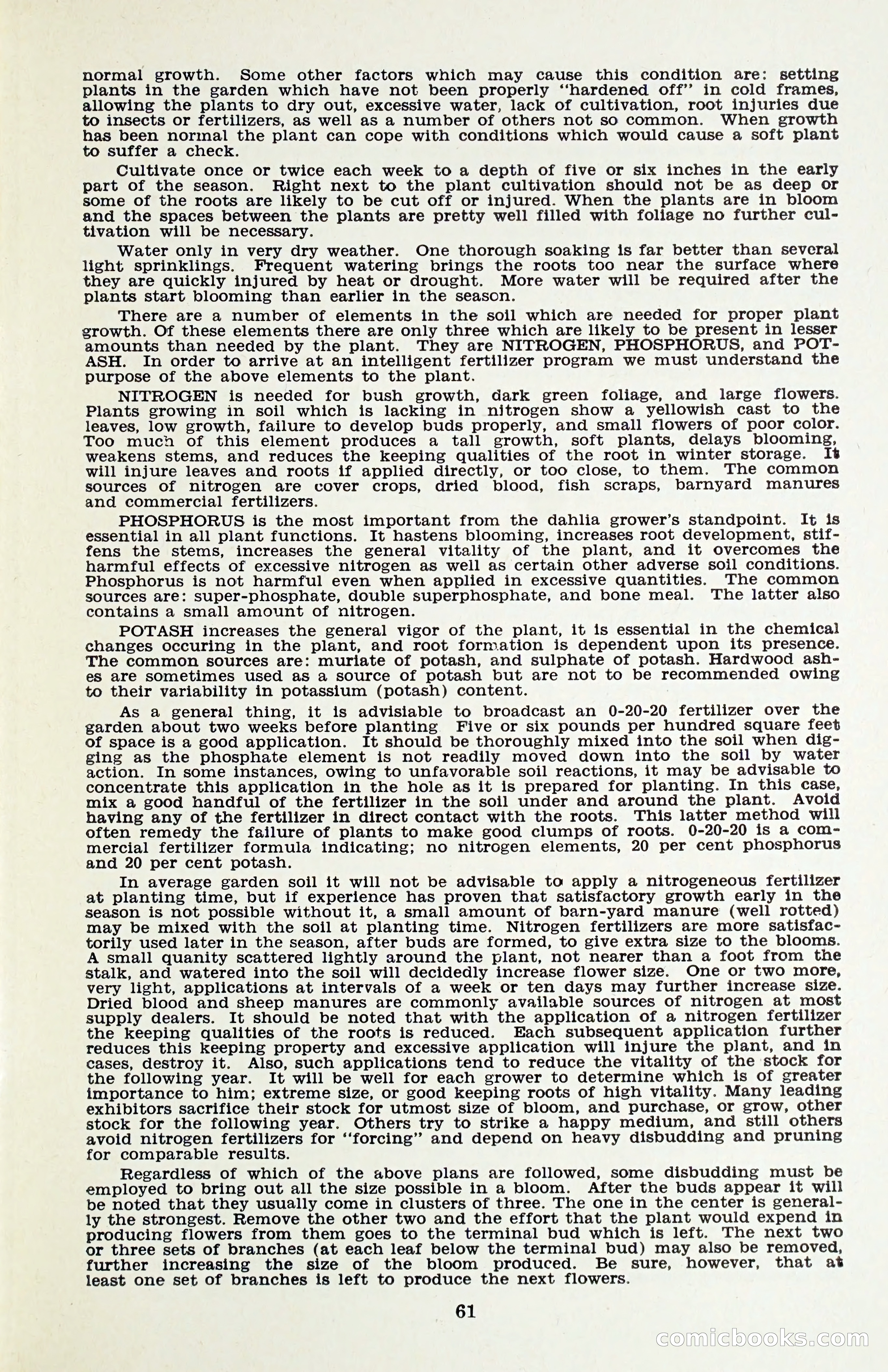 The Dahlia Blue Book for 1958 — page 64 of 67