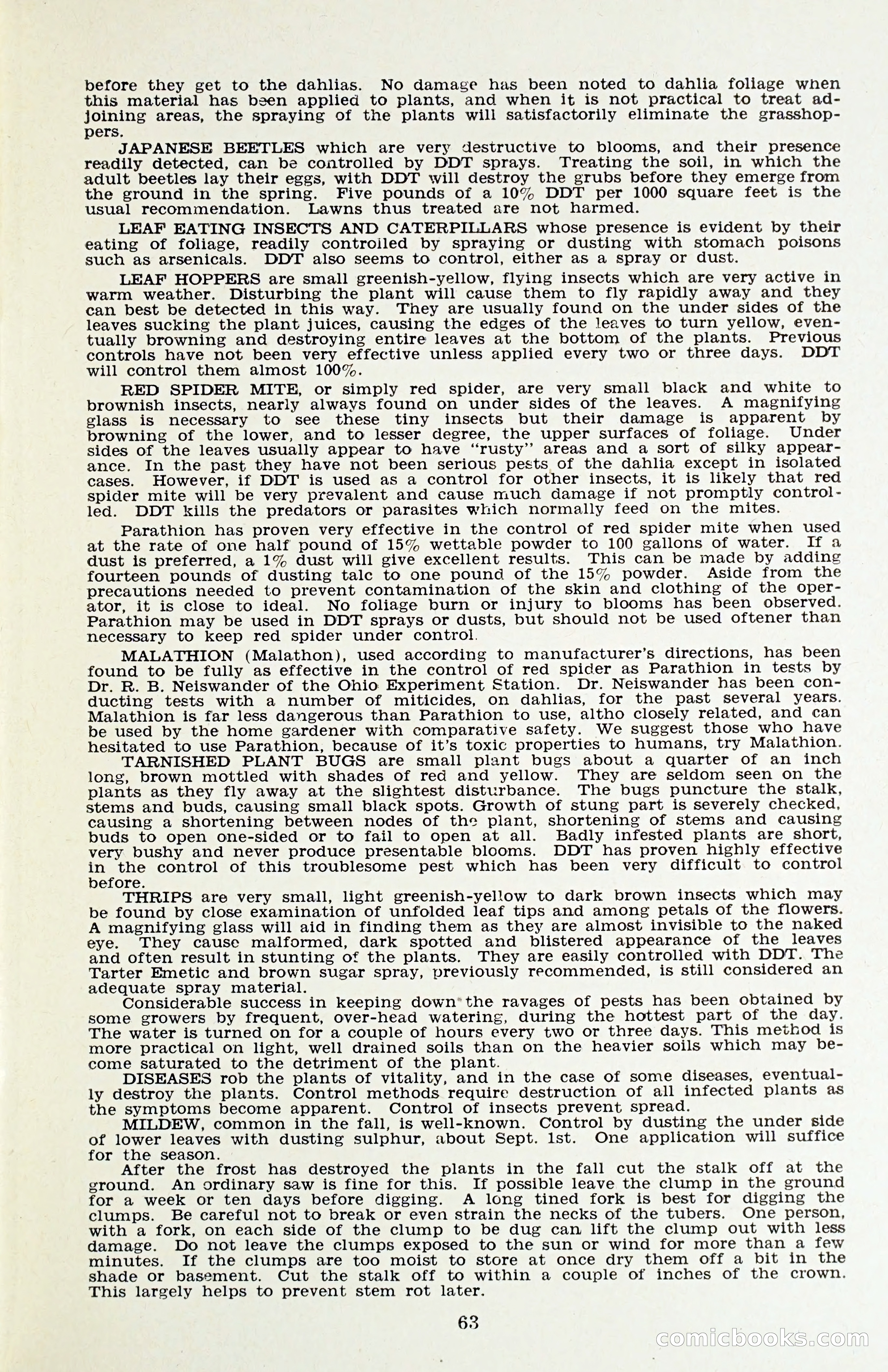 The Dahlia Blue Book for 1958 — page 66 of 67