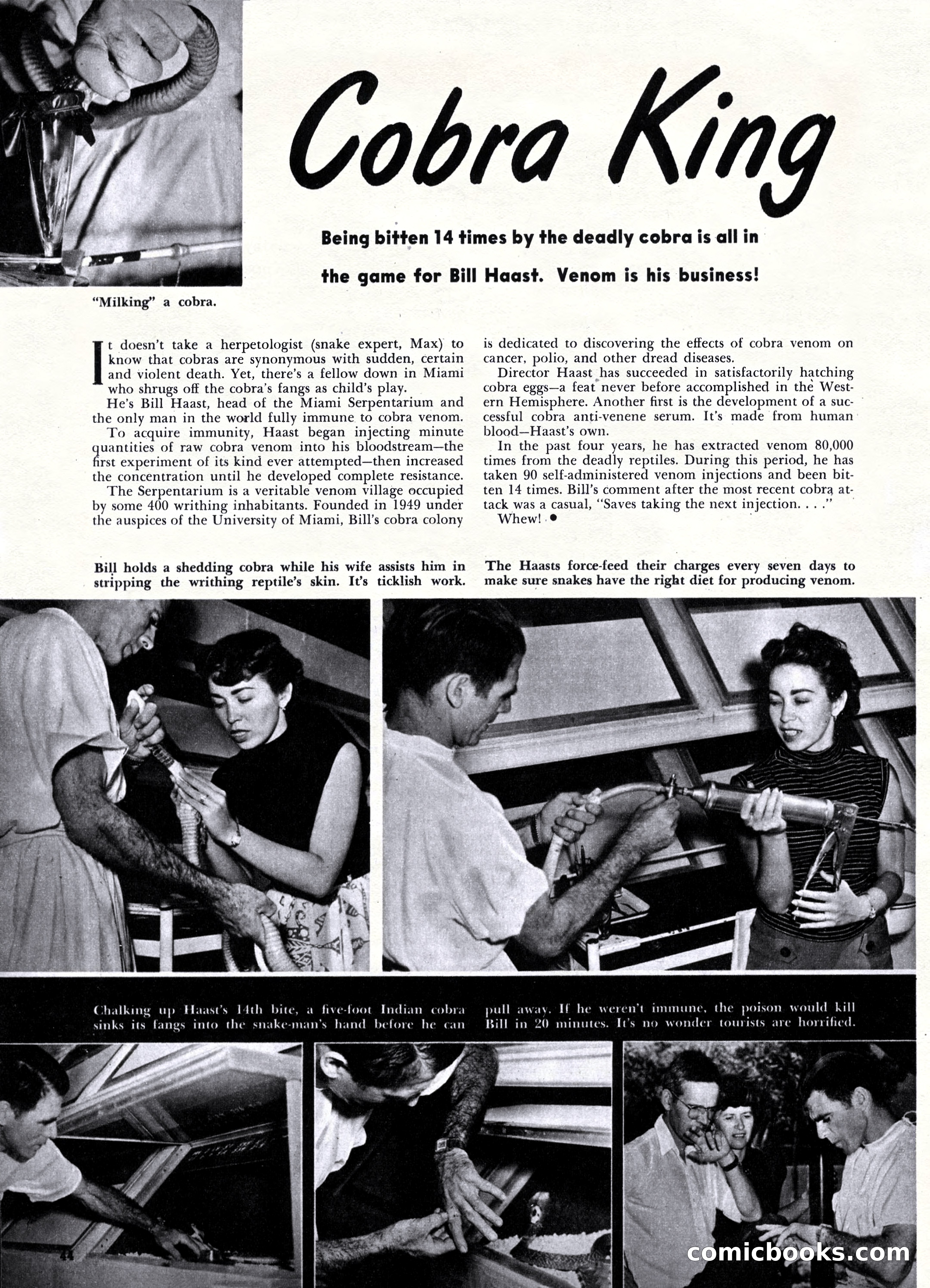 Cavalier, May 1953 — page 46 of 84
