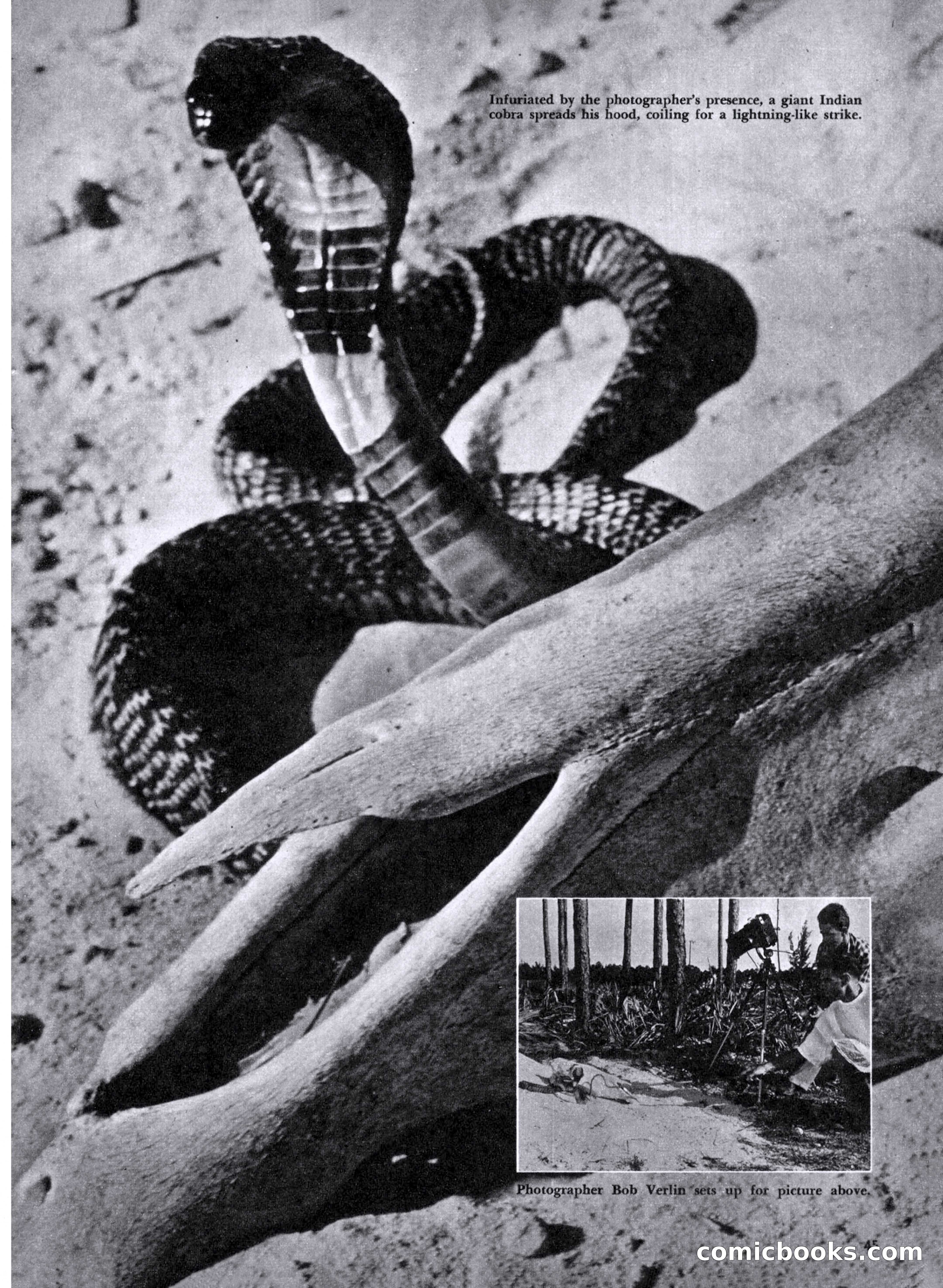 Cavalier, May 1953 — page 47 of 84