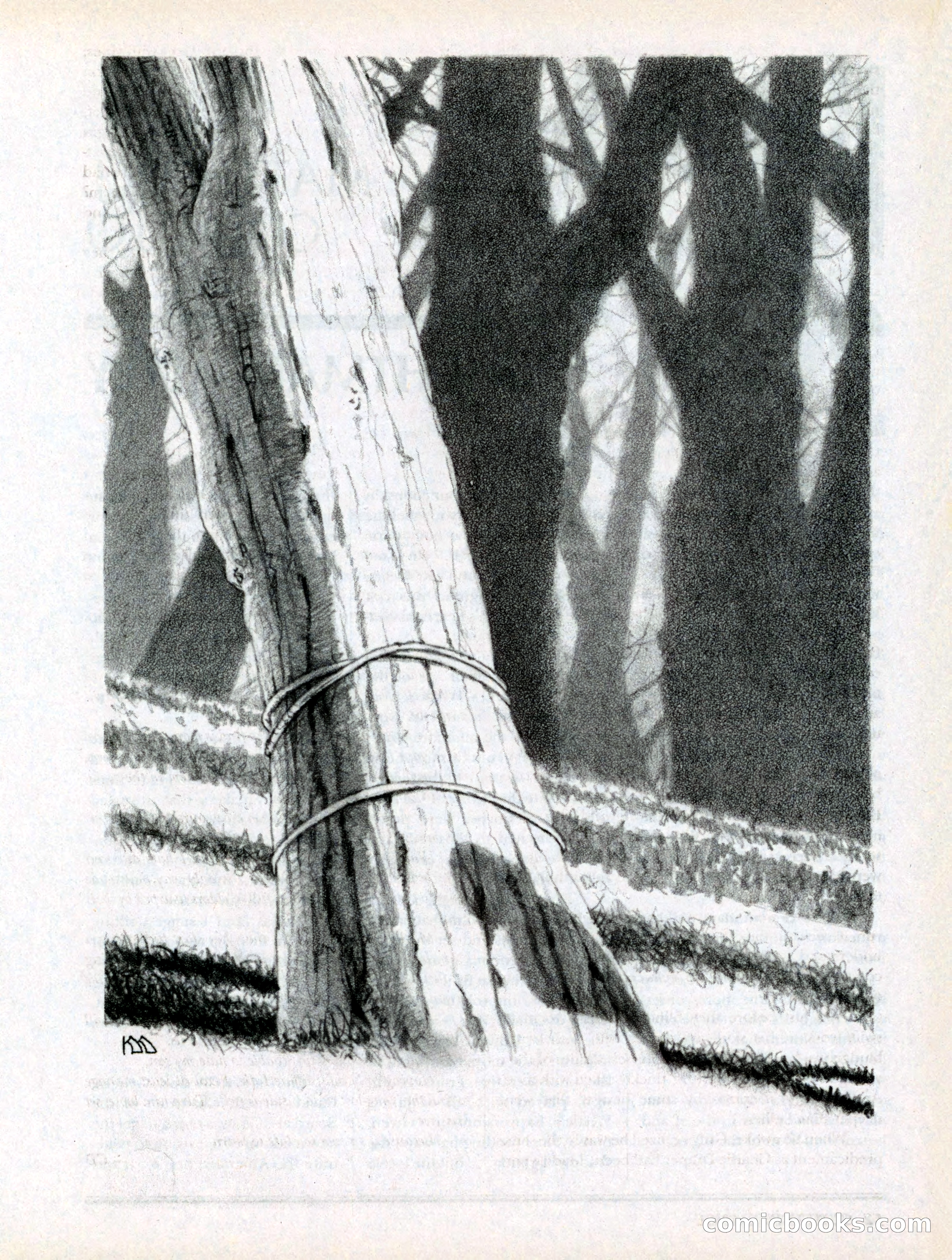 Cemetery Dance, Volume 6, Issue 4 — page 55 of 148