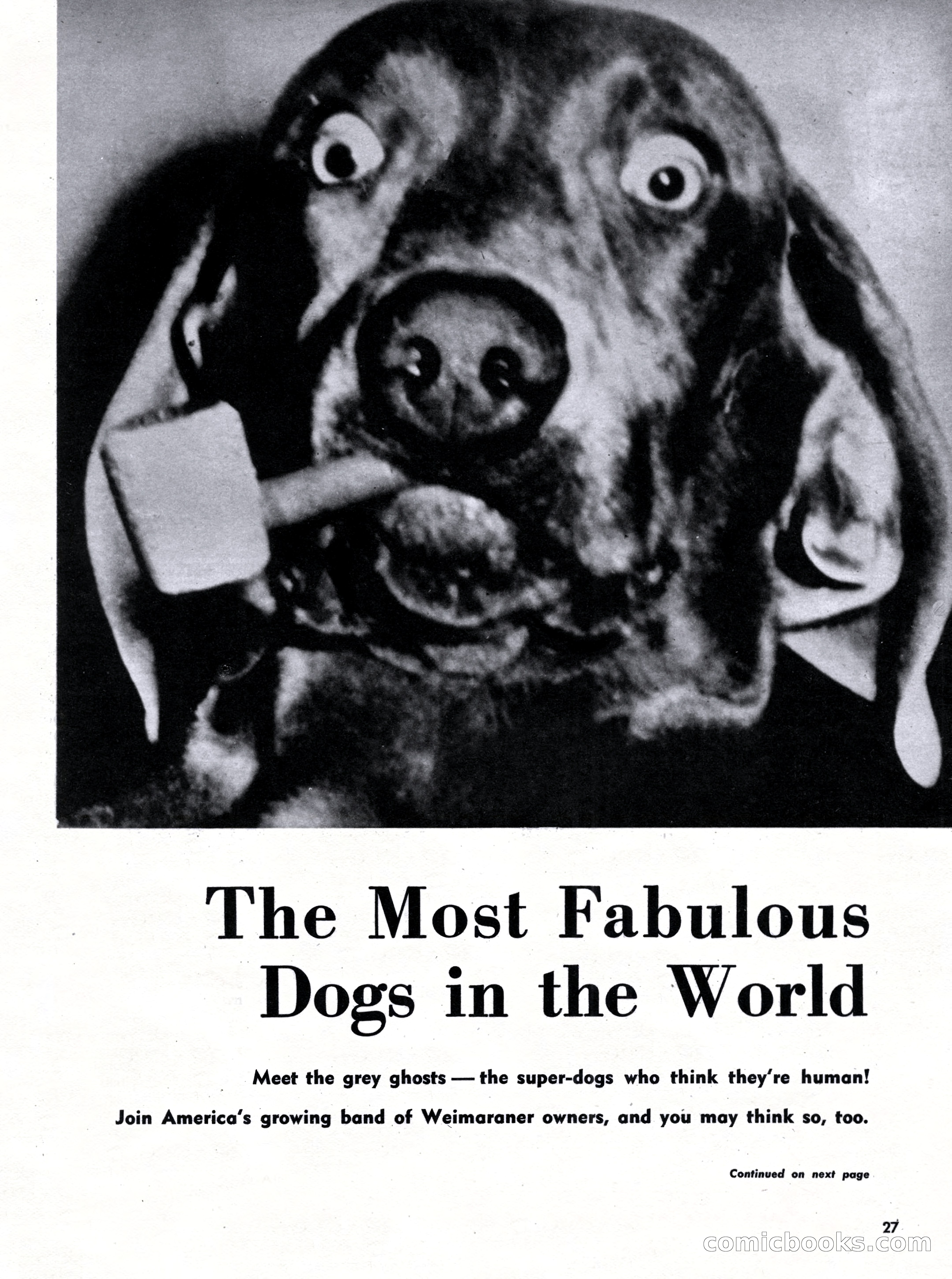 Challenge For Men, September 1955 — page 27 of 84
