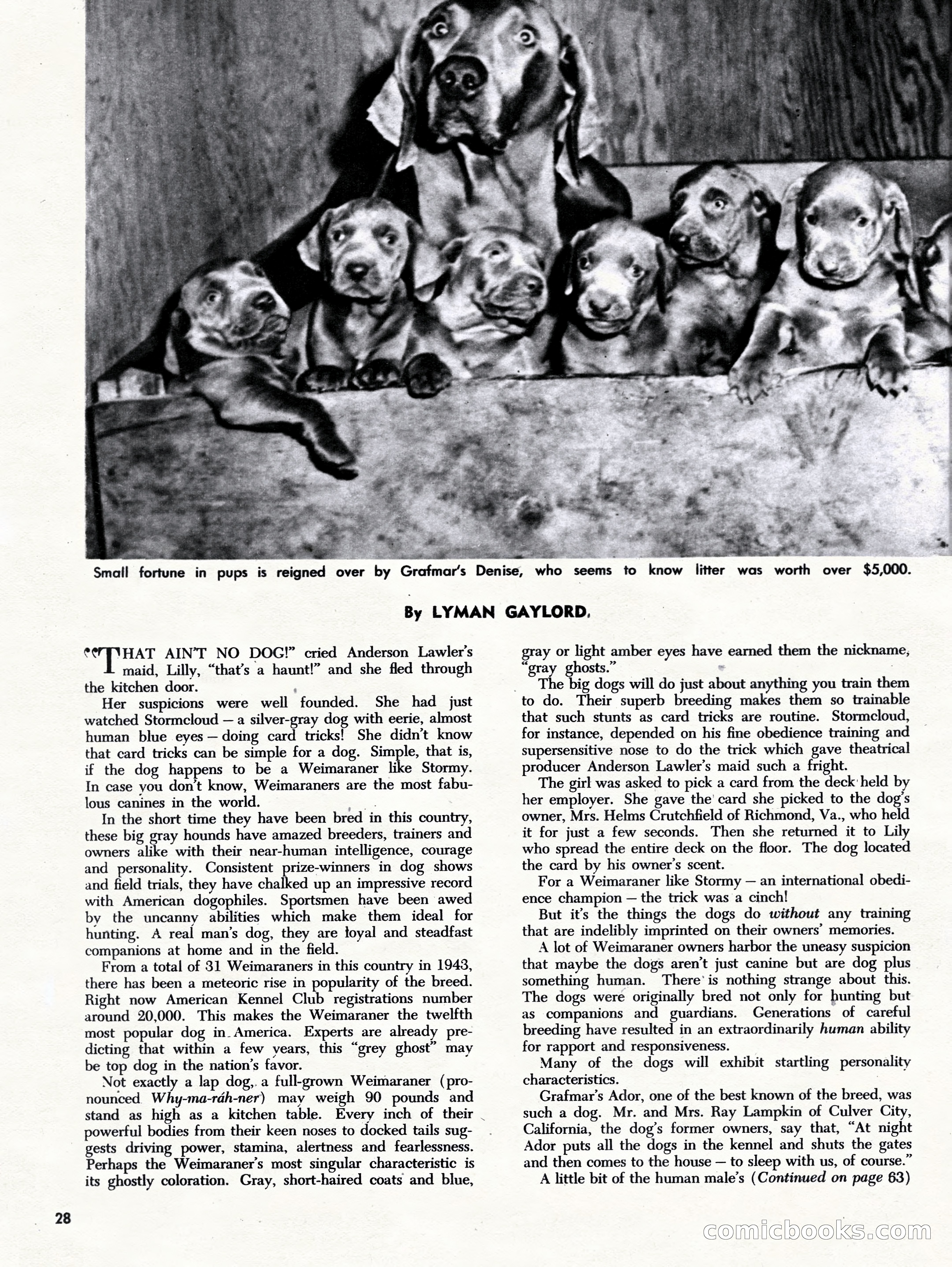 Challenge For Men, September 1955 — page 28 of 84