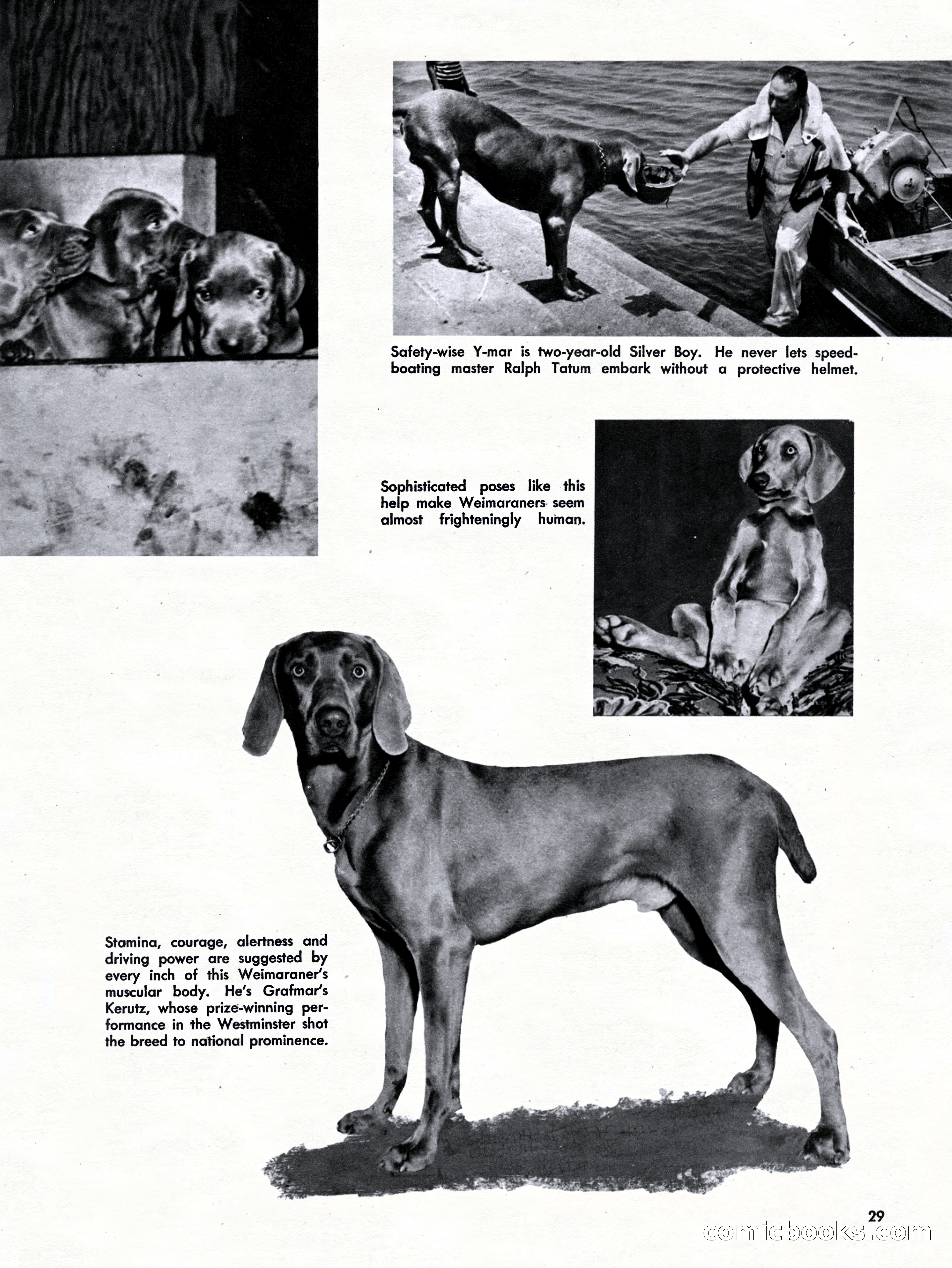 Challenge For Men, September 1955 — page 29 of 84