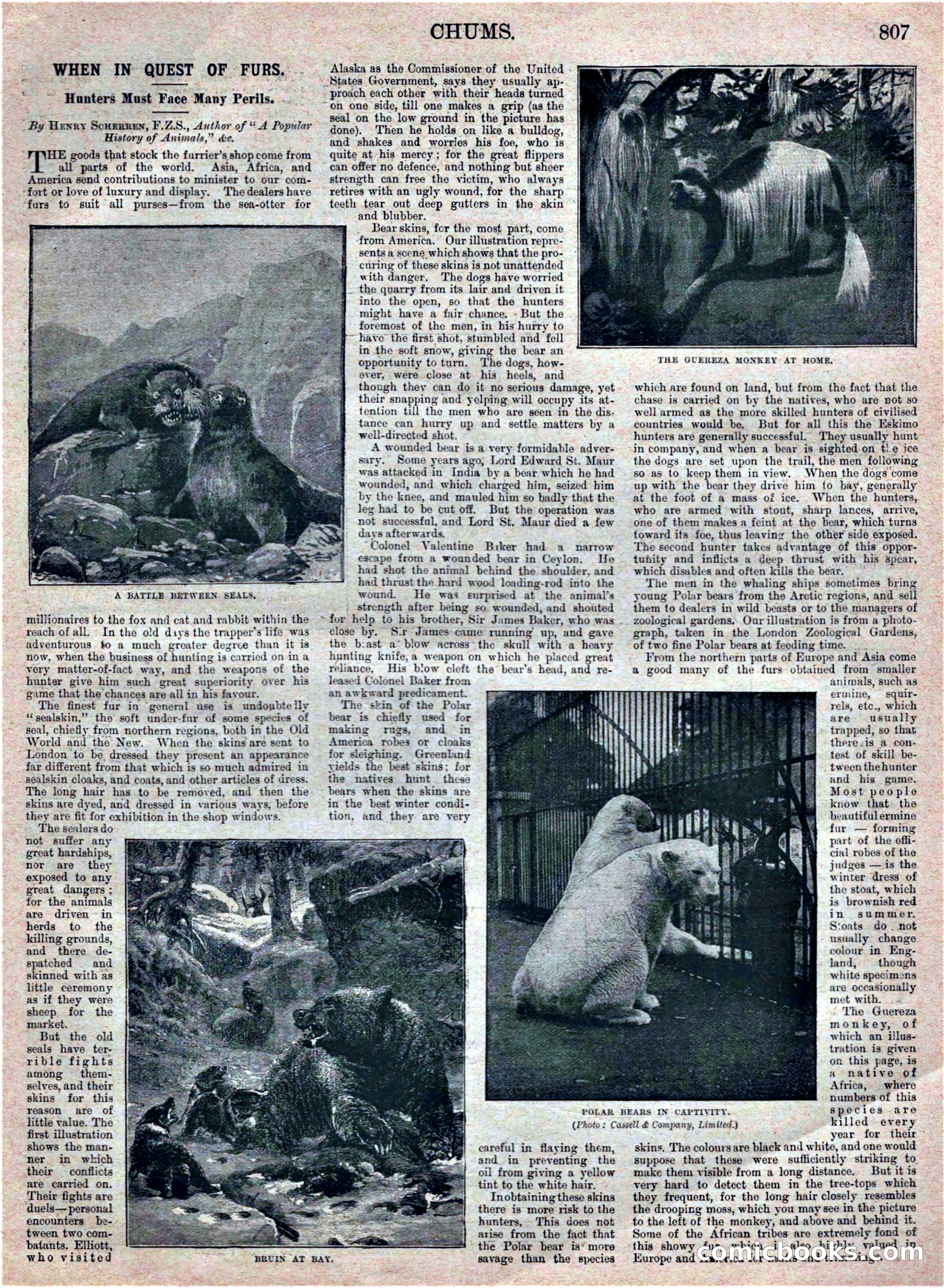 Chums, Vol. VIII, No. 413 — page 7 of 17