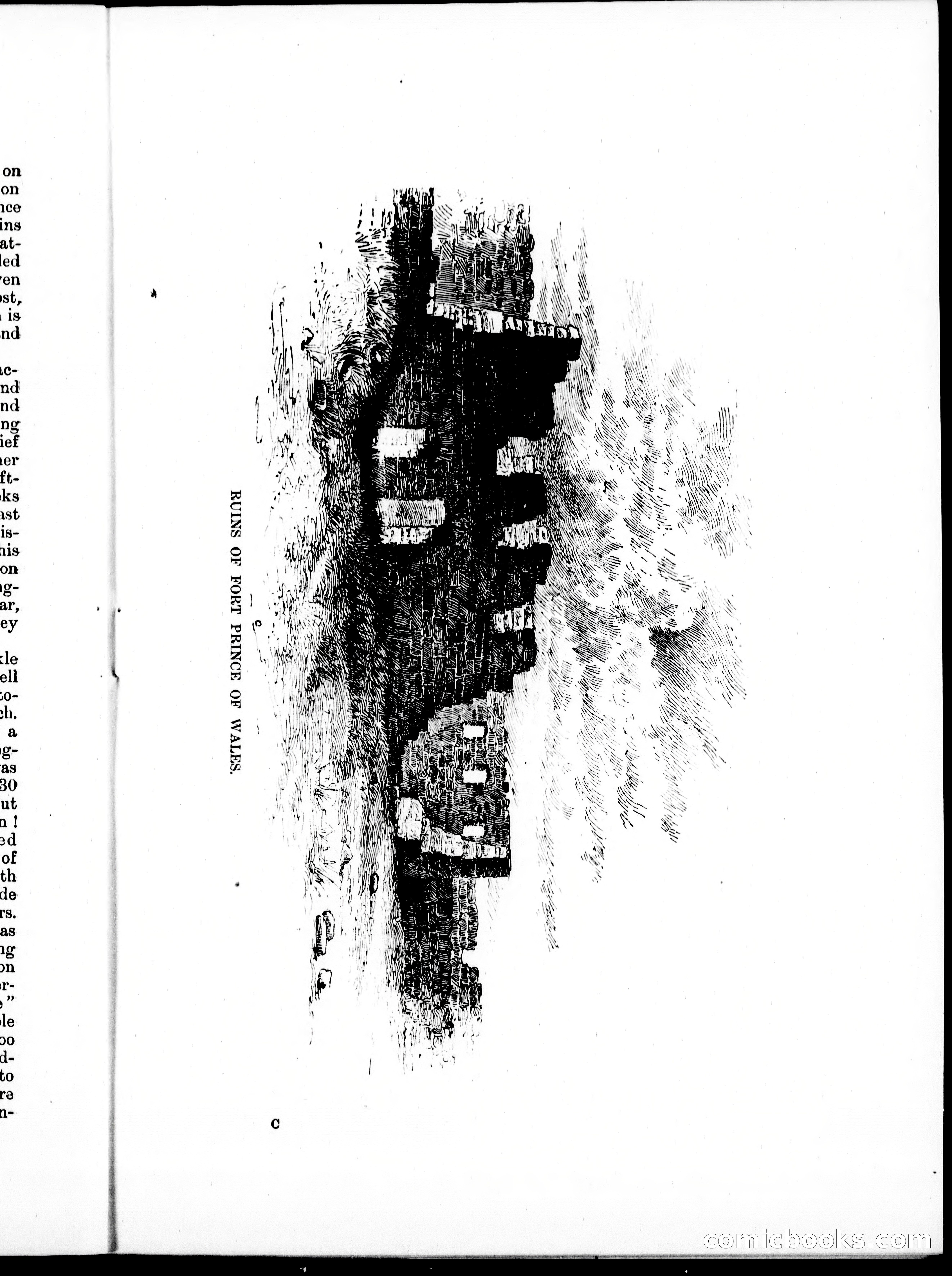 In the Shadow of the Arctic — page 9 of 17