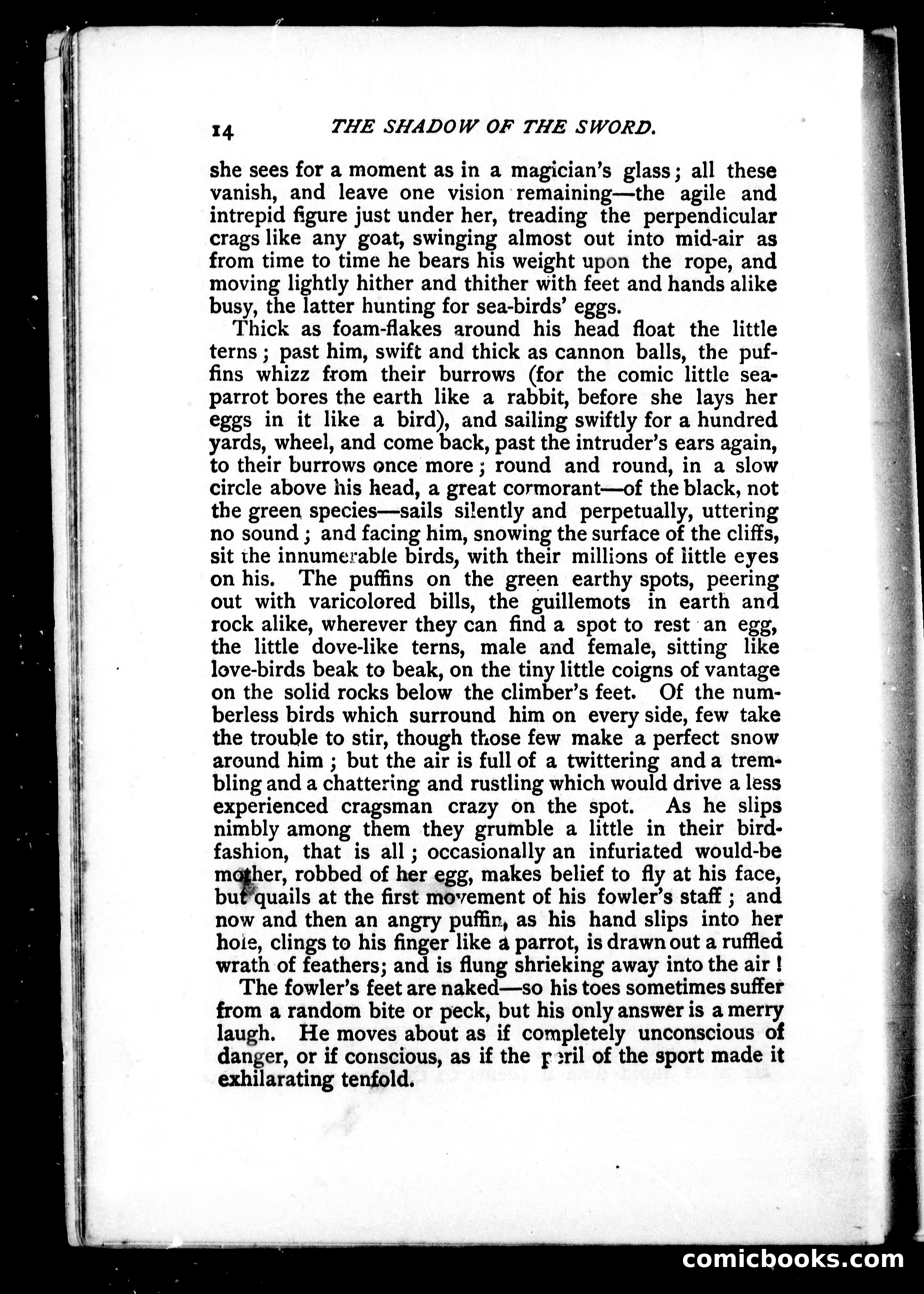 The Shadow of the Sword — page 17 of 395