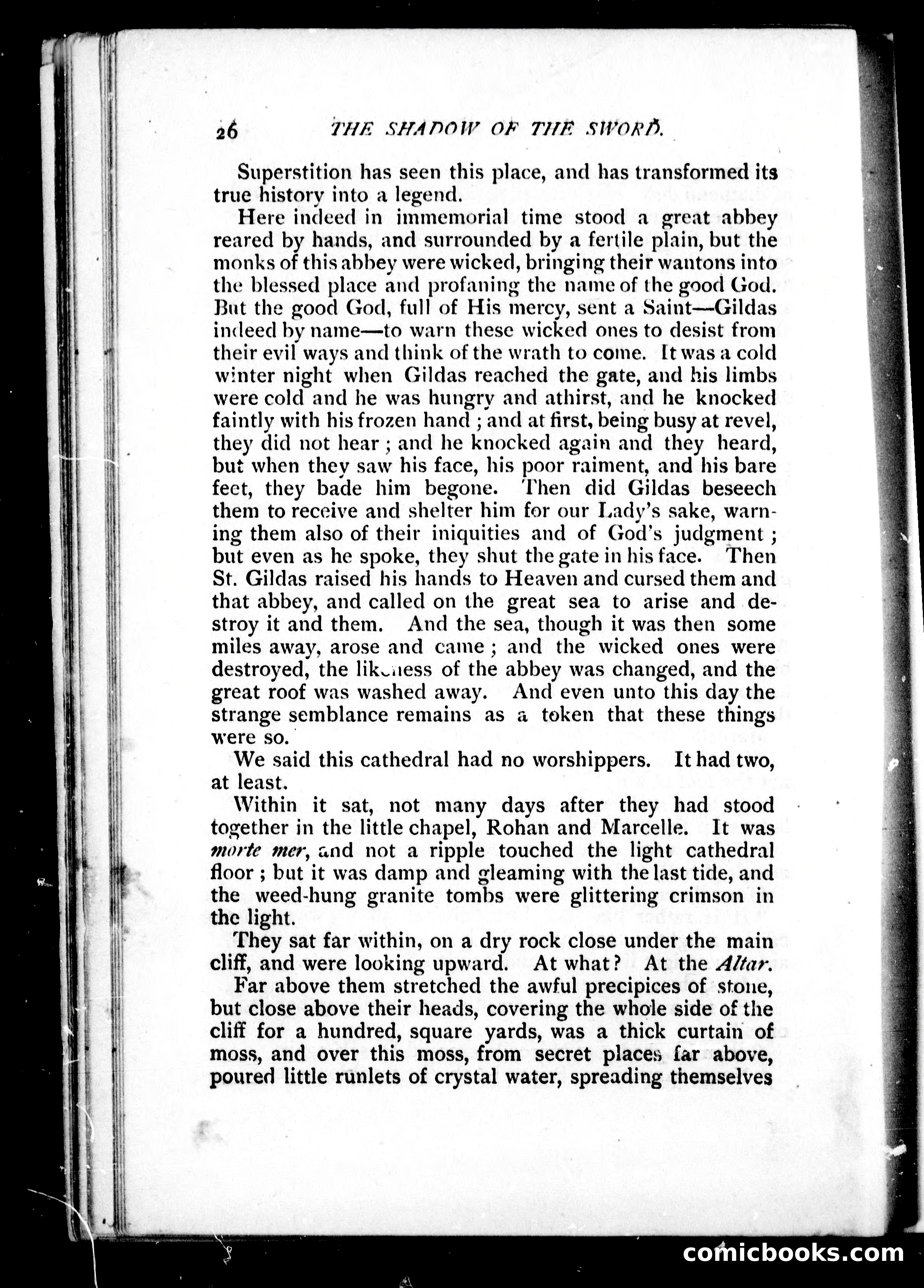 The Shadow of the Sword — page 29 of 395