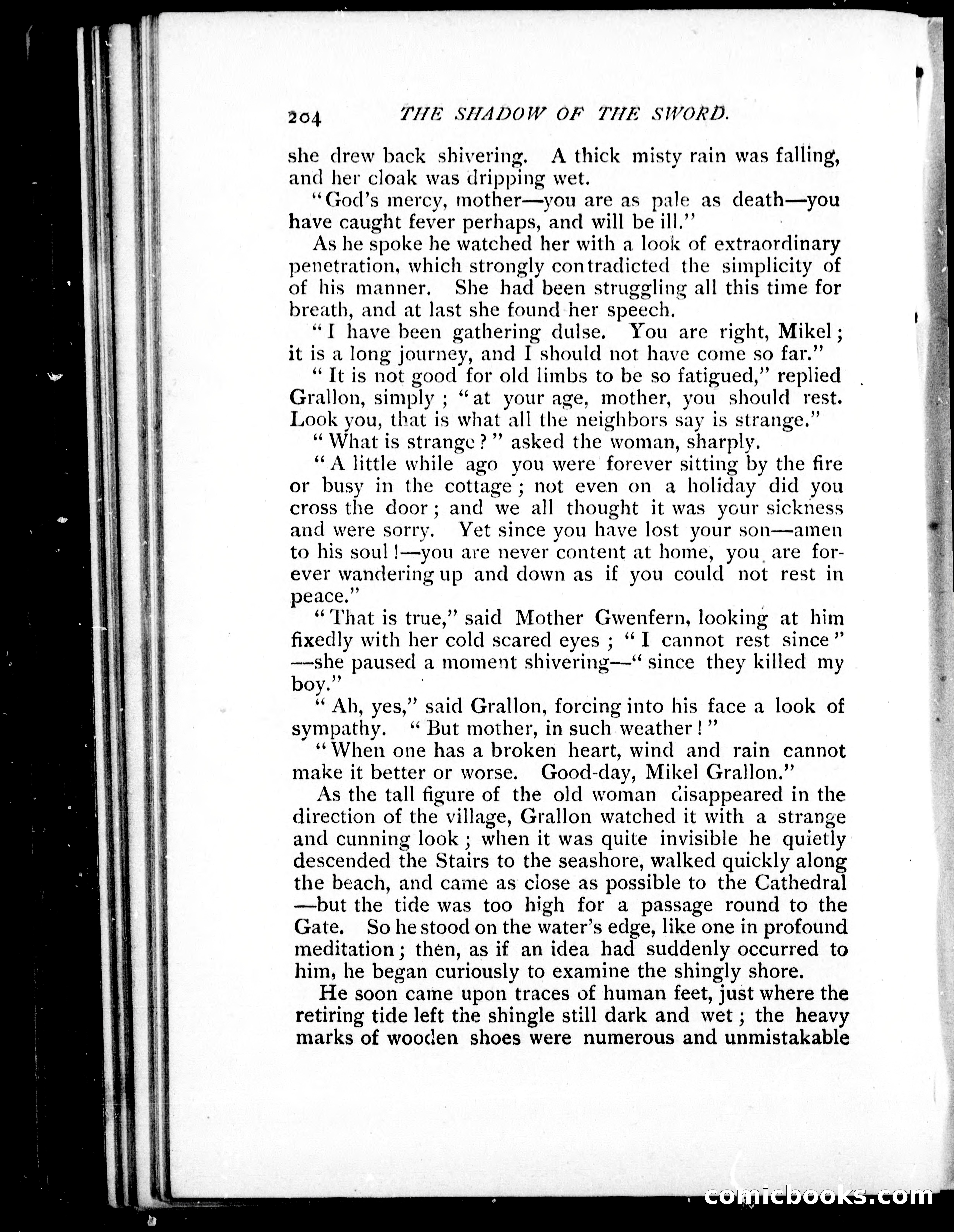 The Shadow of the Sword — page 213 of 395