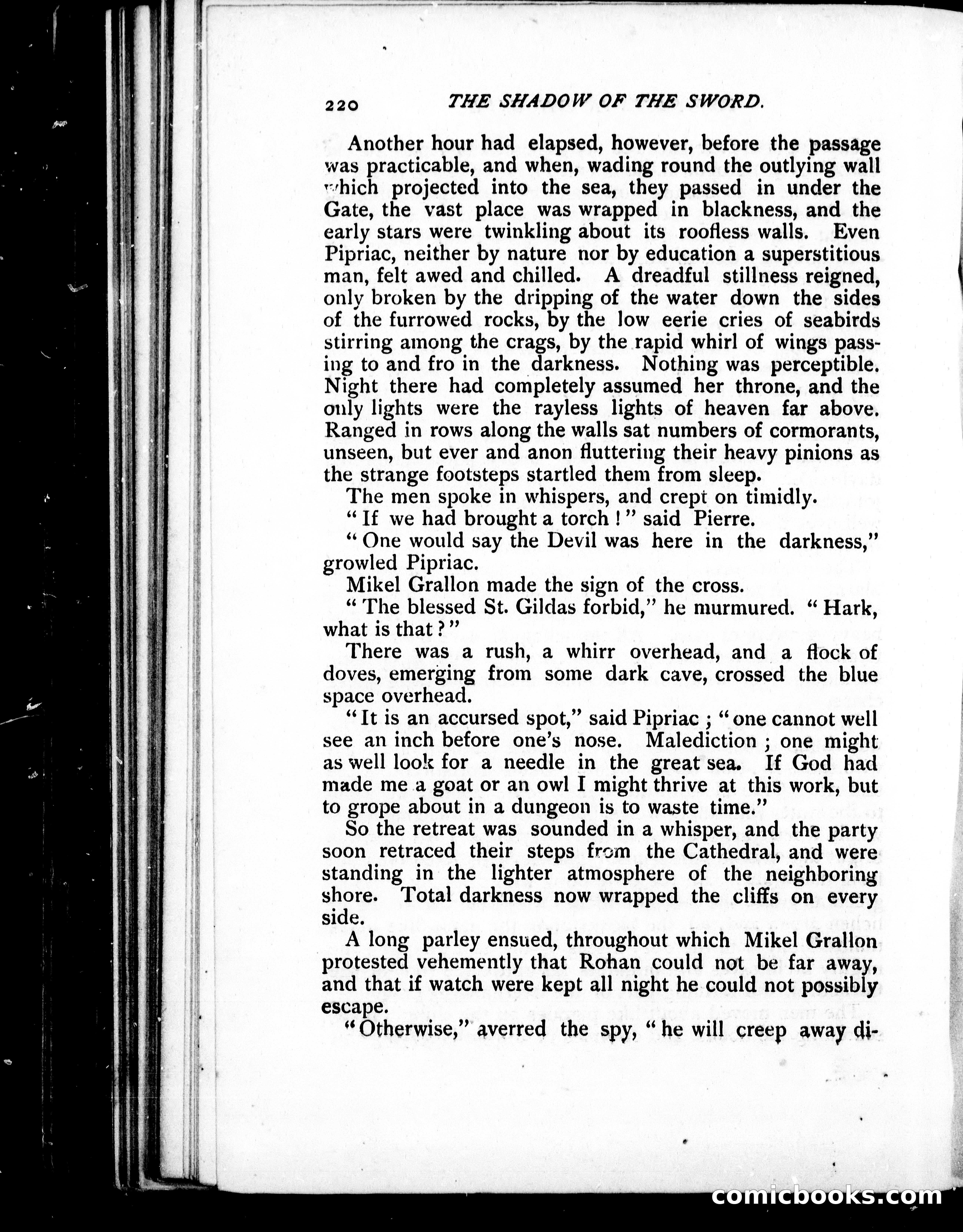 The Shadow of the Sword — page 229 of 395