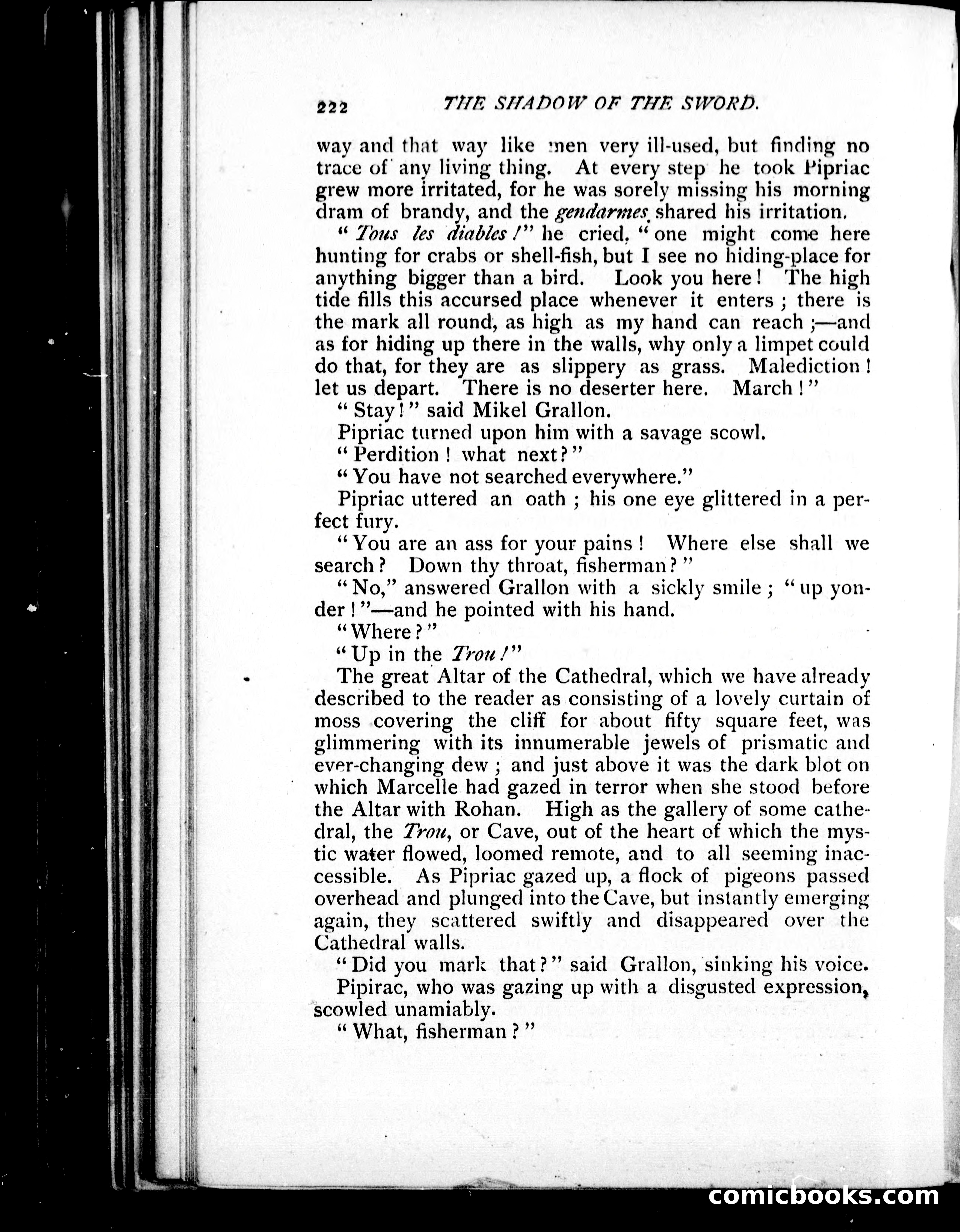 The Shadow of the Sword — page 231 of 395