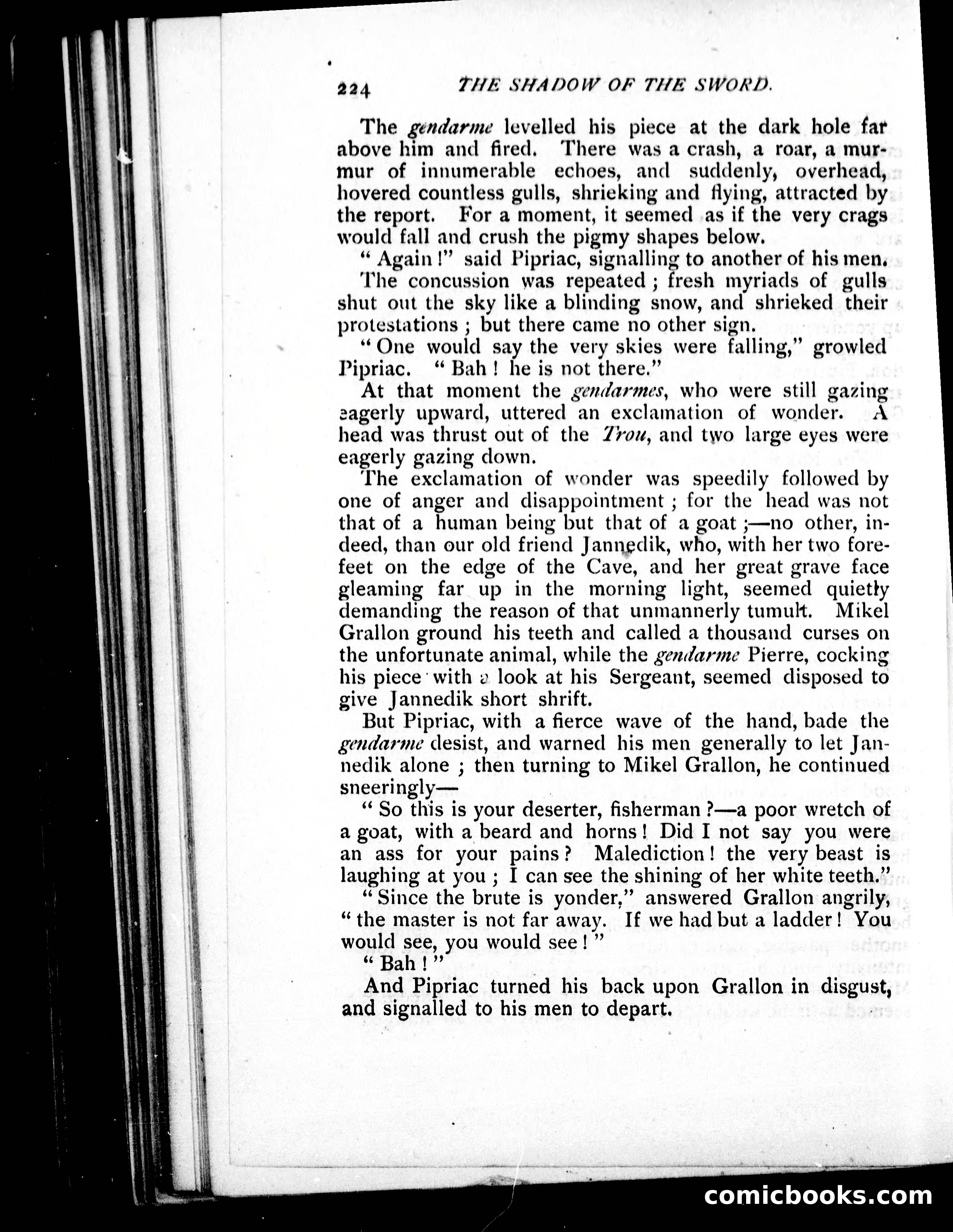 The Shadow of the Sword — page 233 of 395
