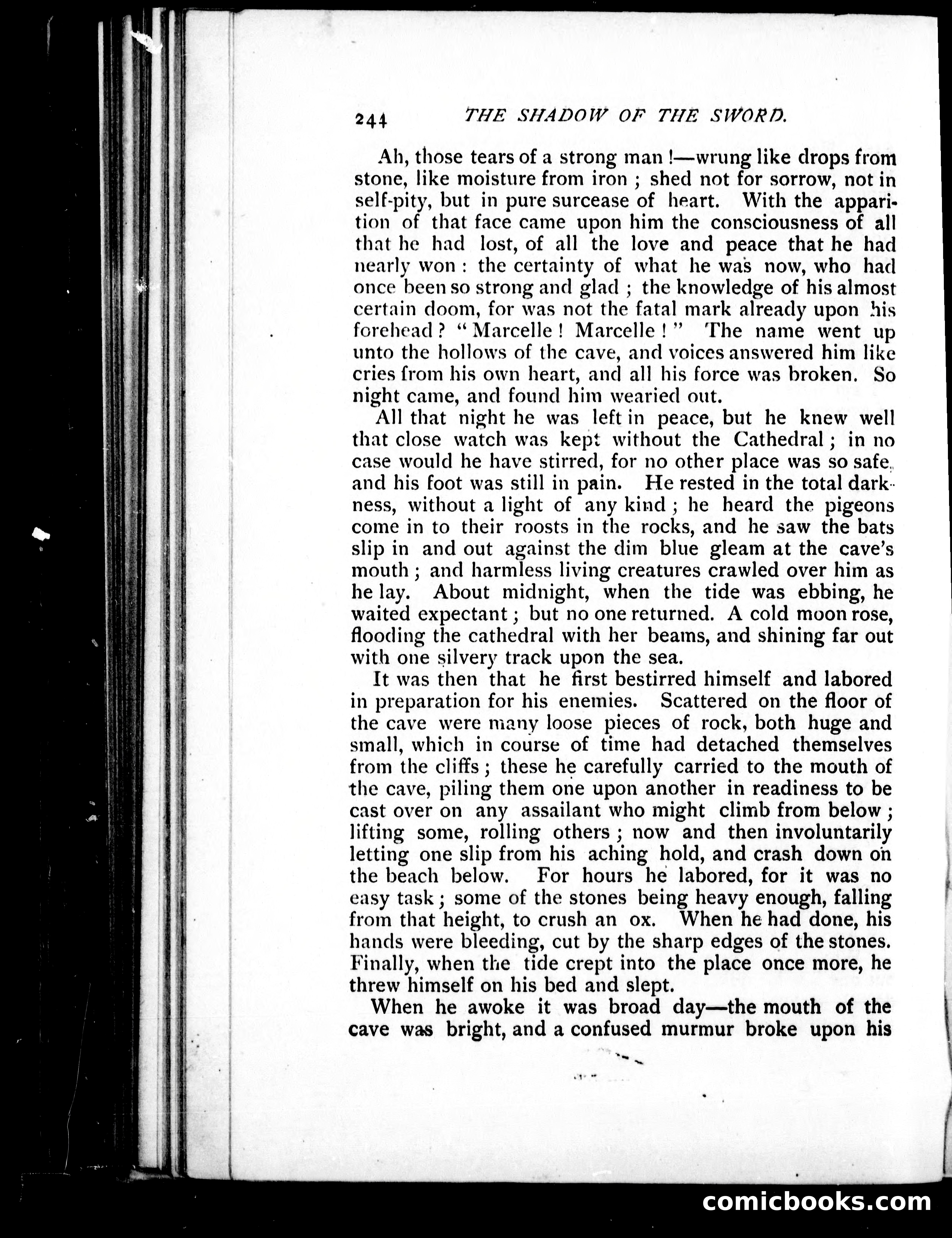 The Shadow of the Sword — page 253 of 395