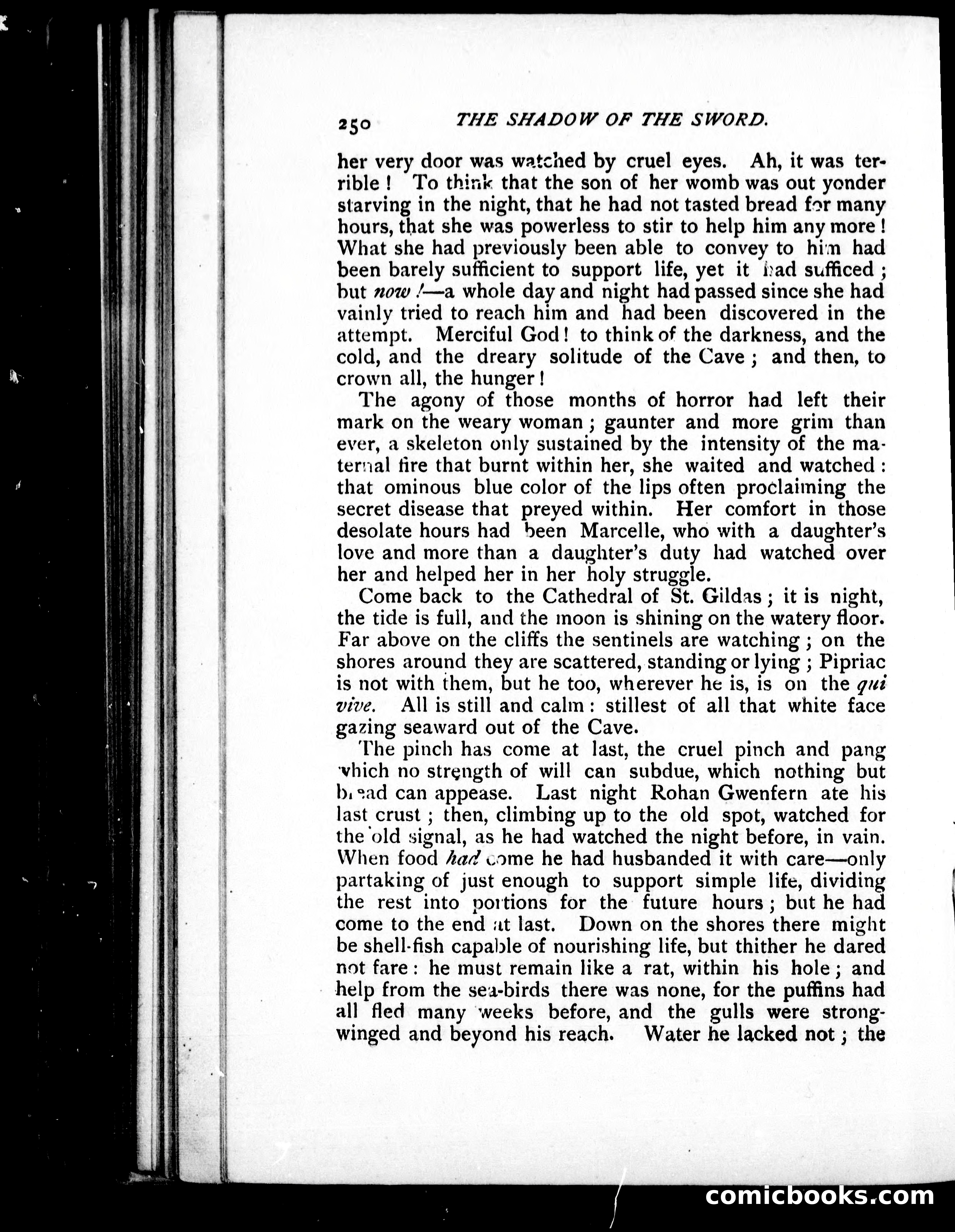 The Shadow of the Sword — page 259 of 395
