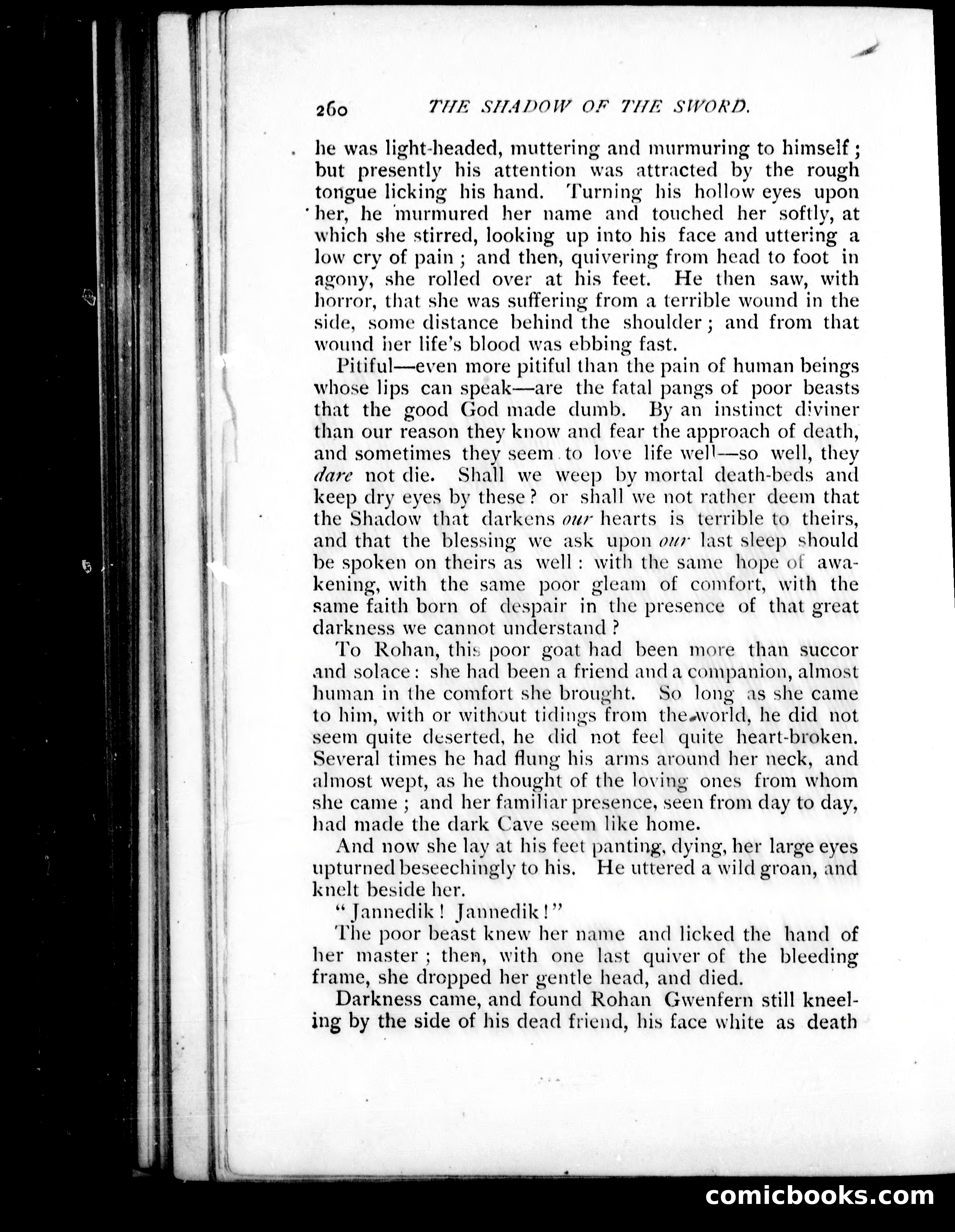 The Shadow of the Sword — page 269 of 395