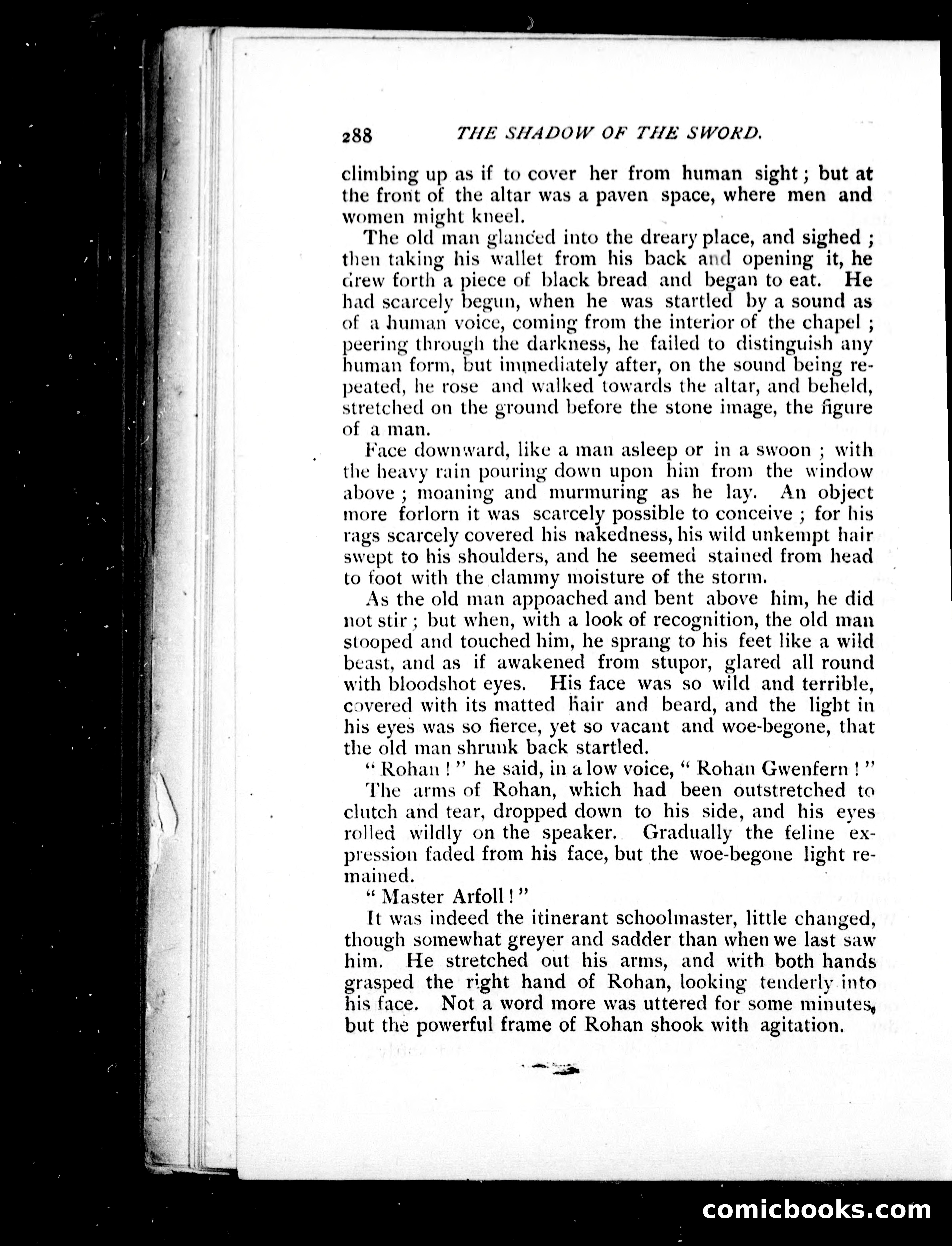 The Shadow of the Sword — page 300 of 395