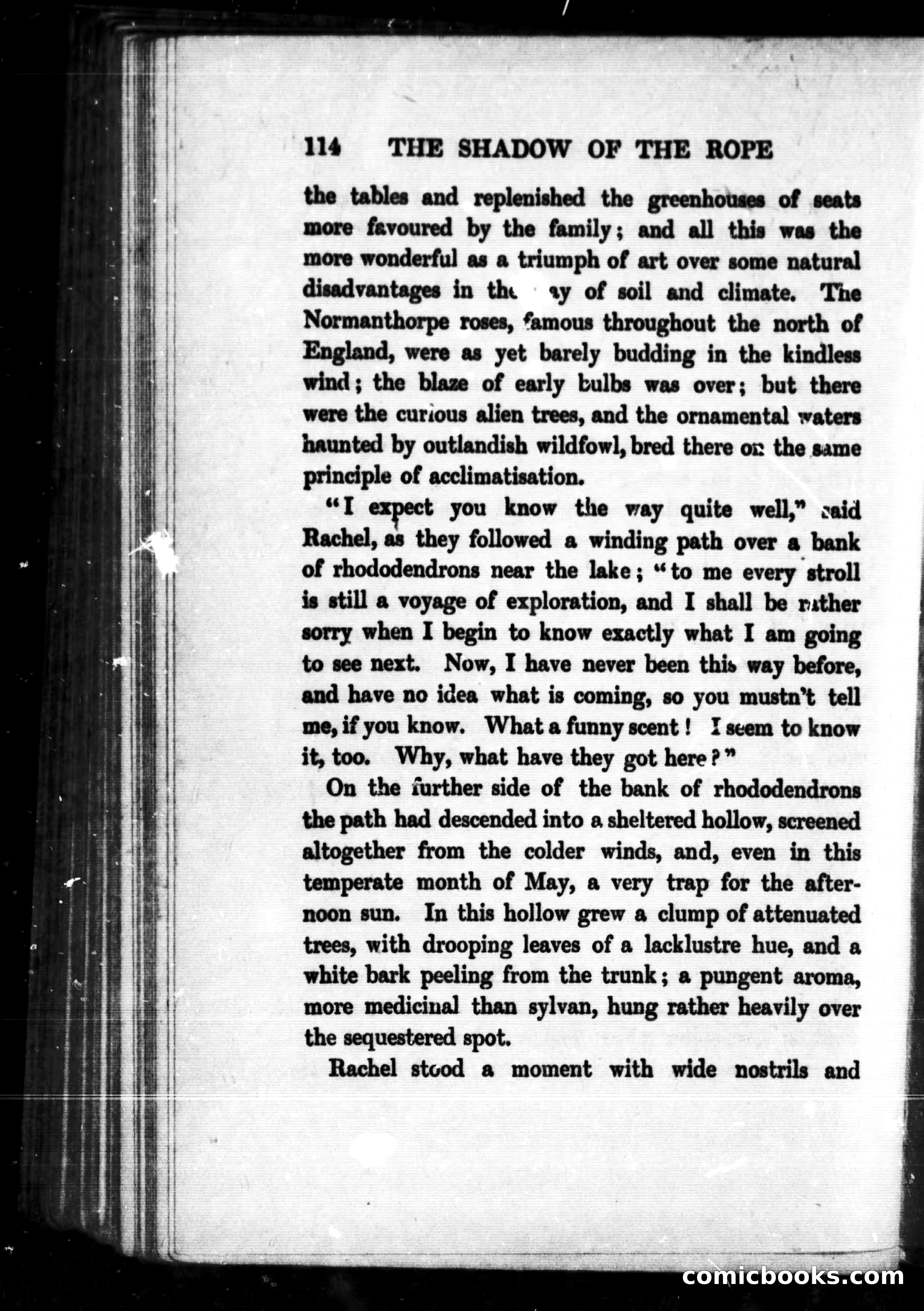 The Shadow of the Rope — page 130 of 358