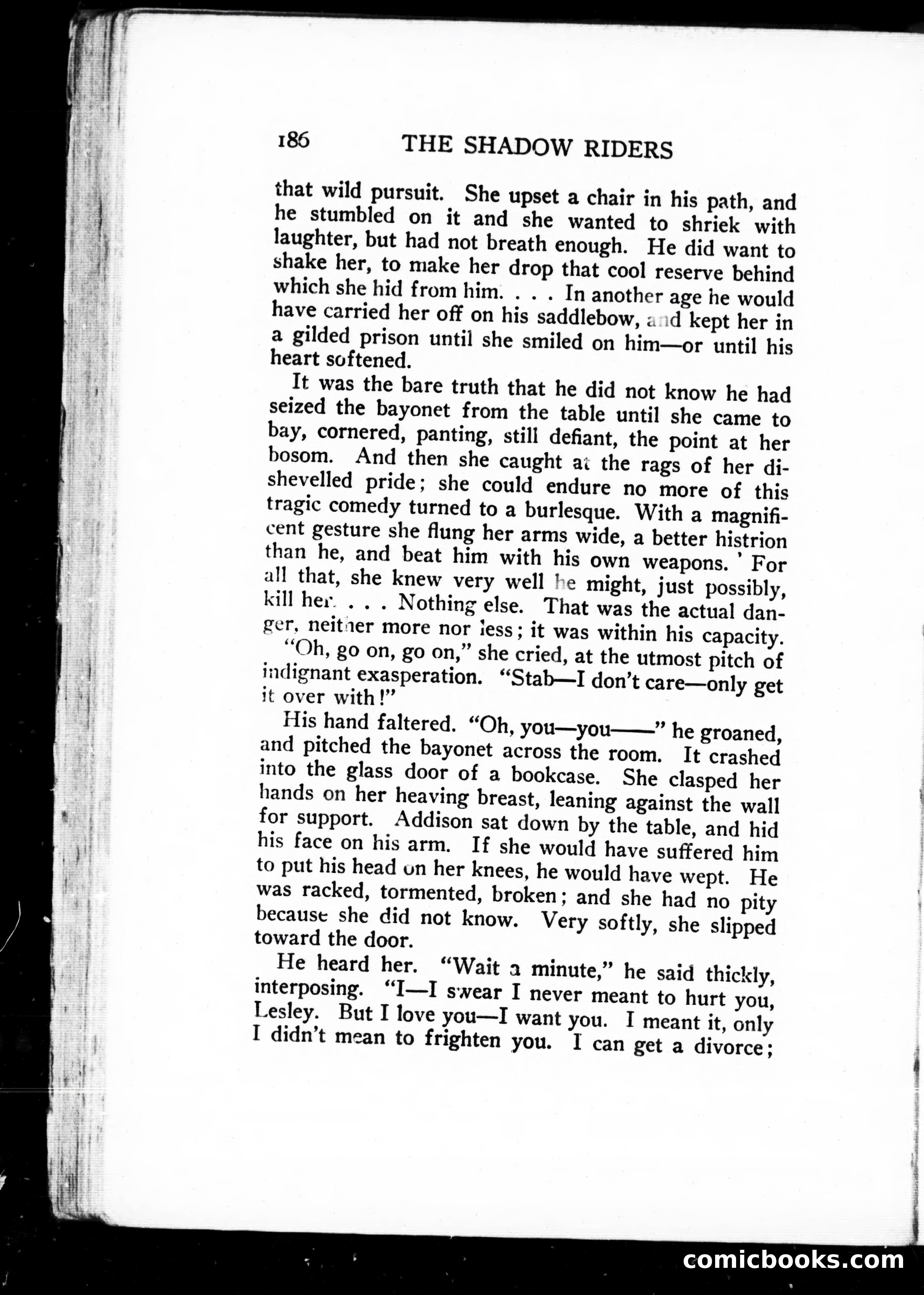 The Shadow Riders — page 196 of 390