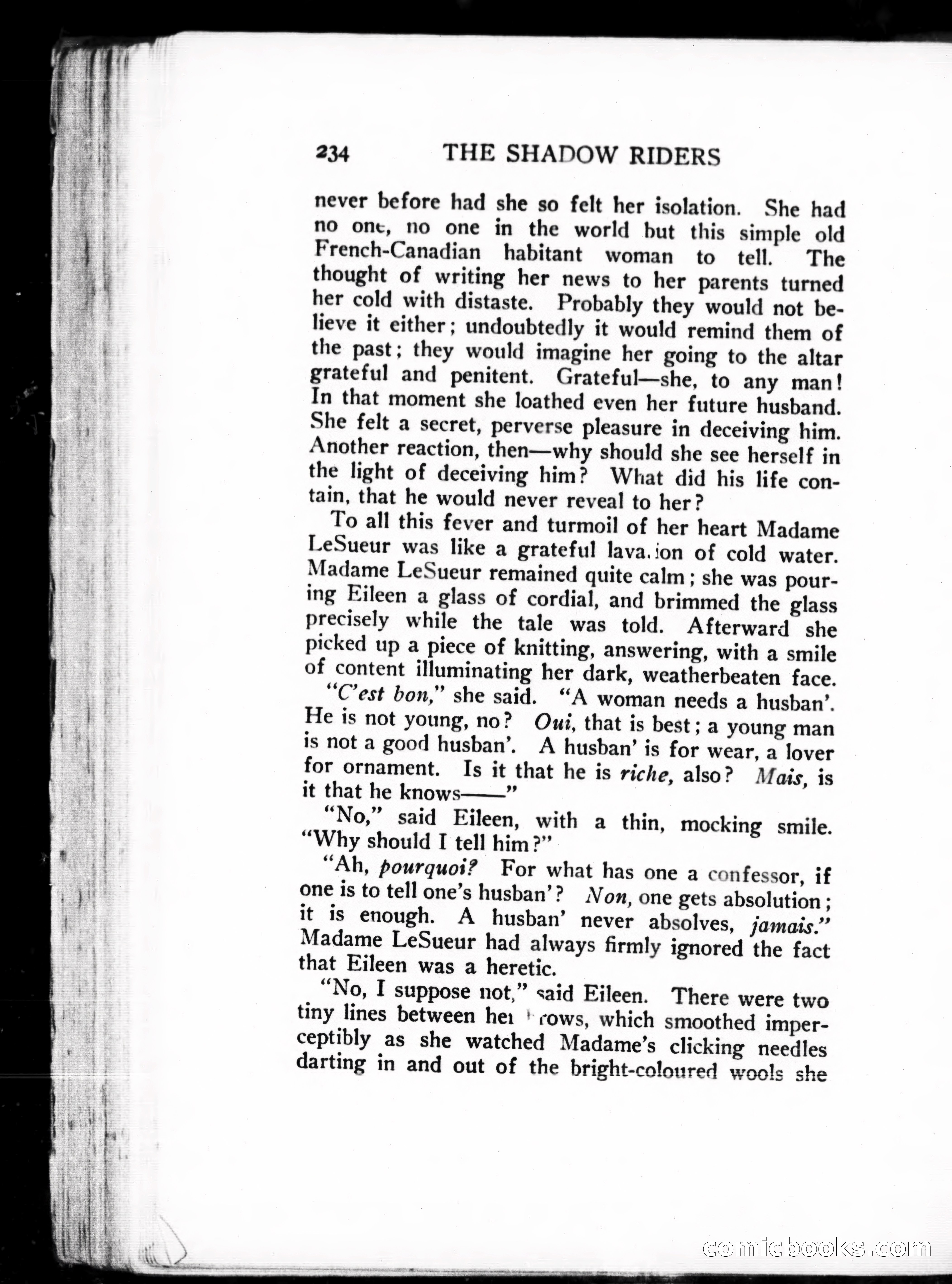 The Shadow Riders — page 244 of 390