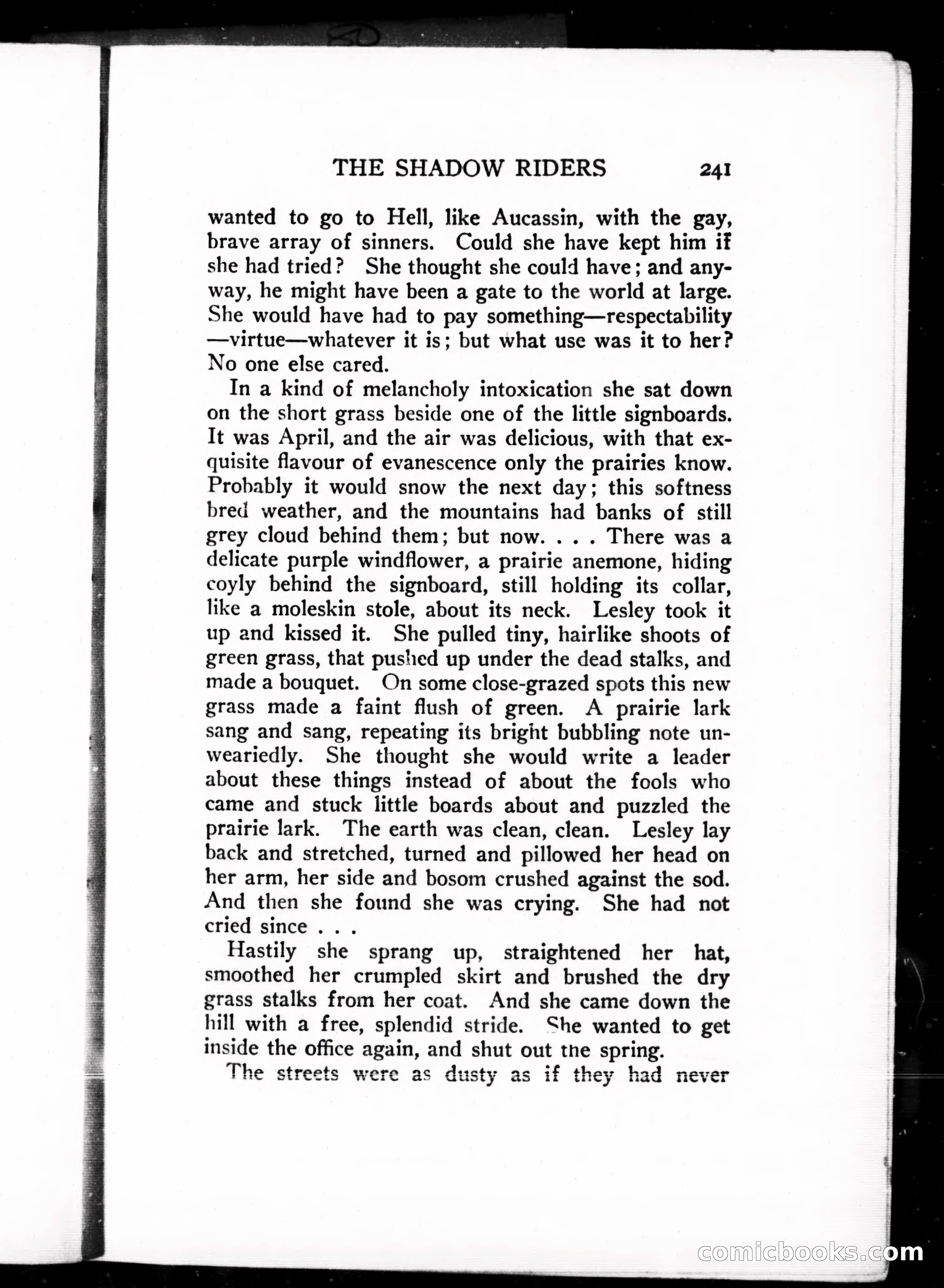 The Shadow Riders — page 251 of 390