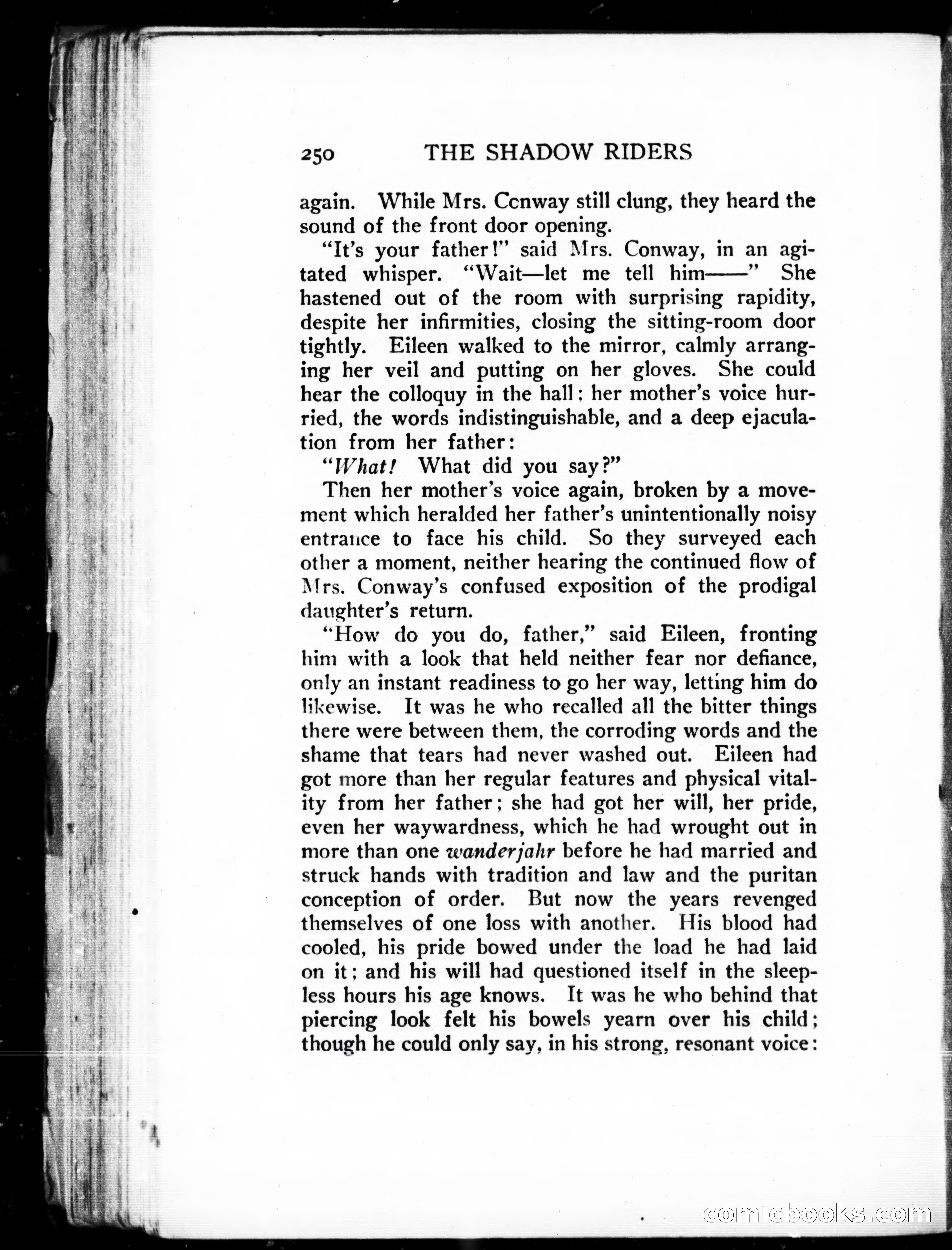 The Shadow Riders — page 260 of 390