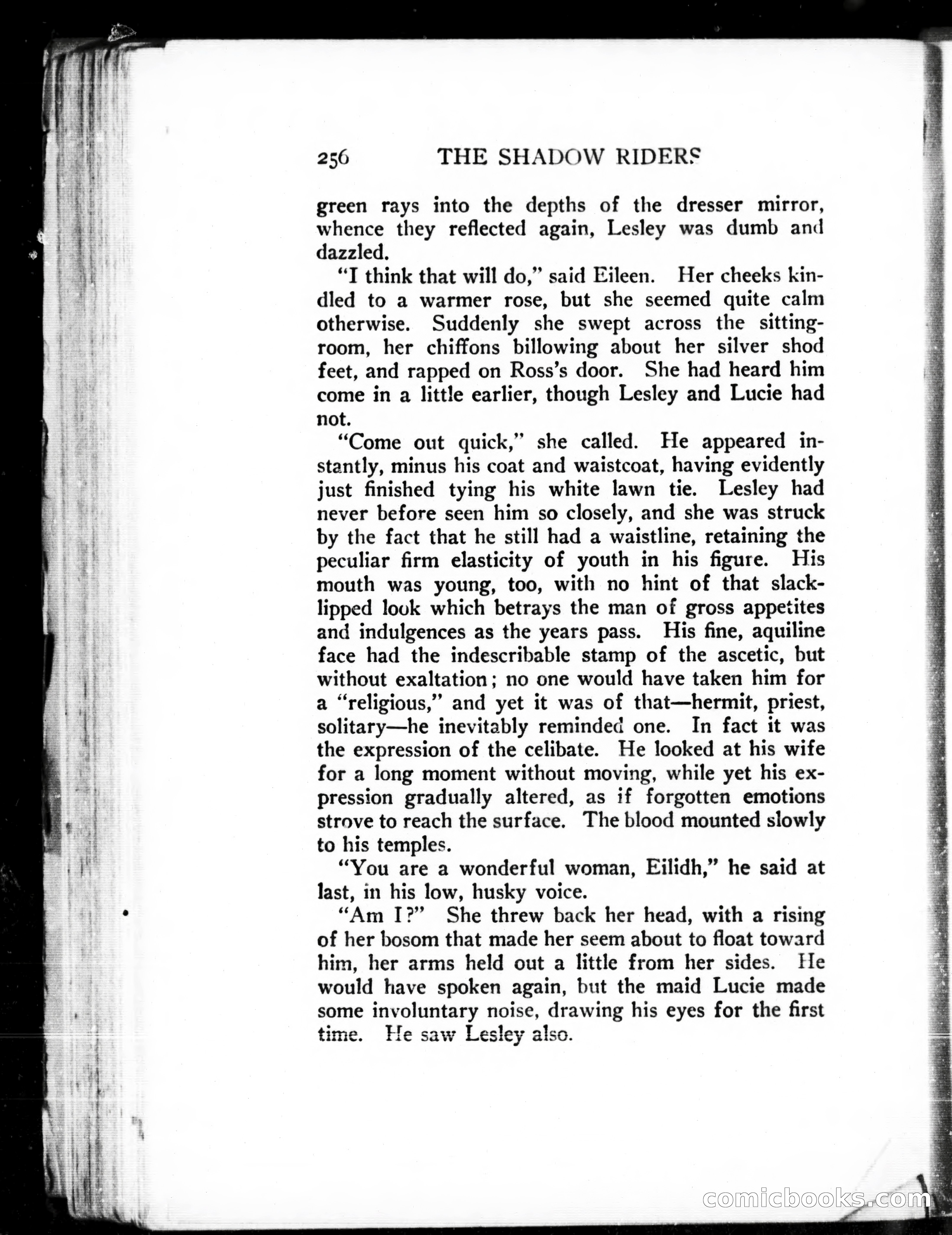 The Shadow Riders — page 266 of 390