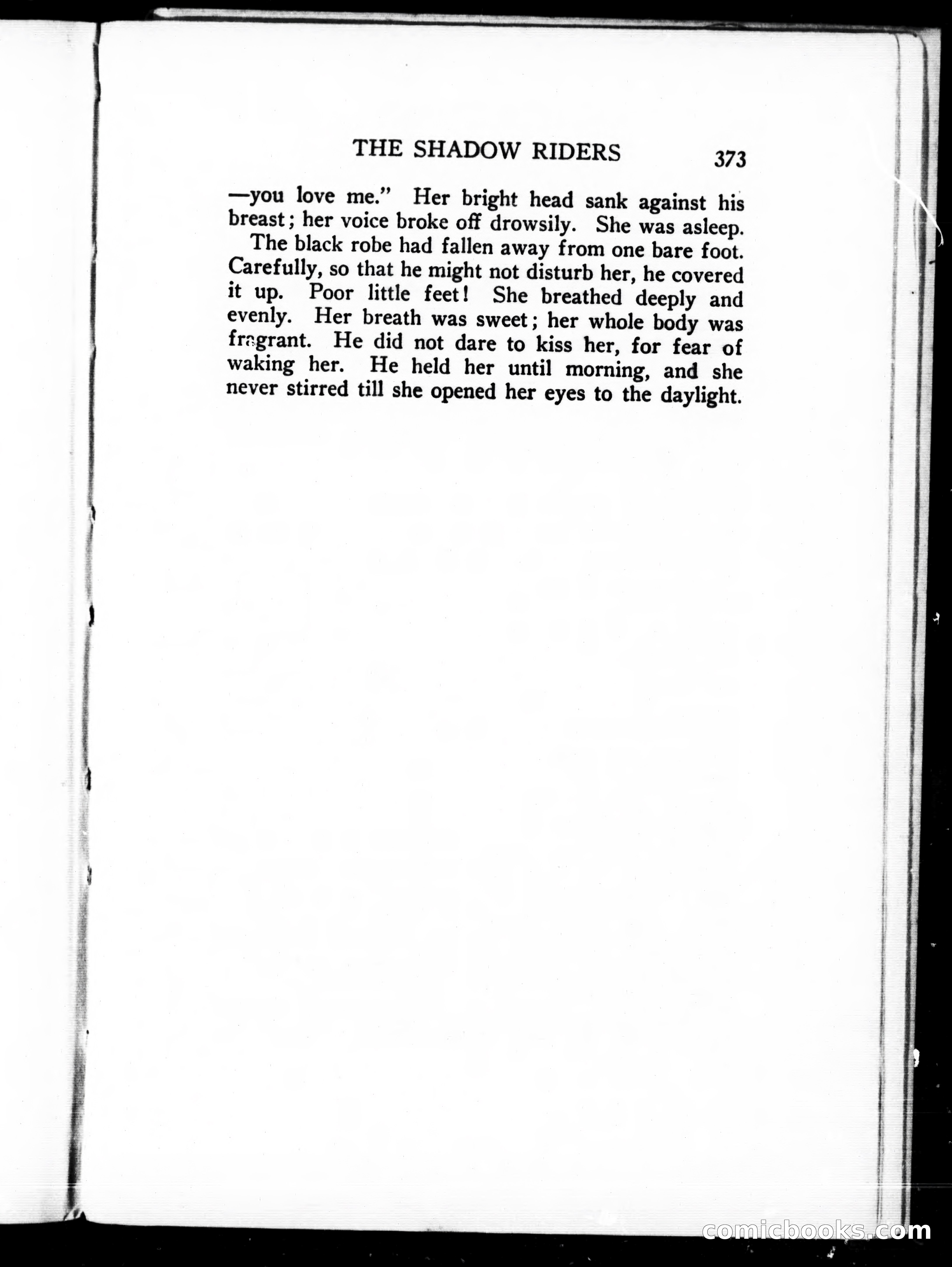 The Shadow Riders — page 387 of 390