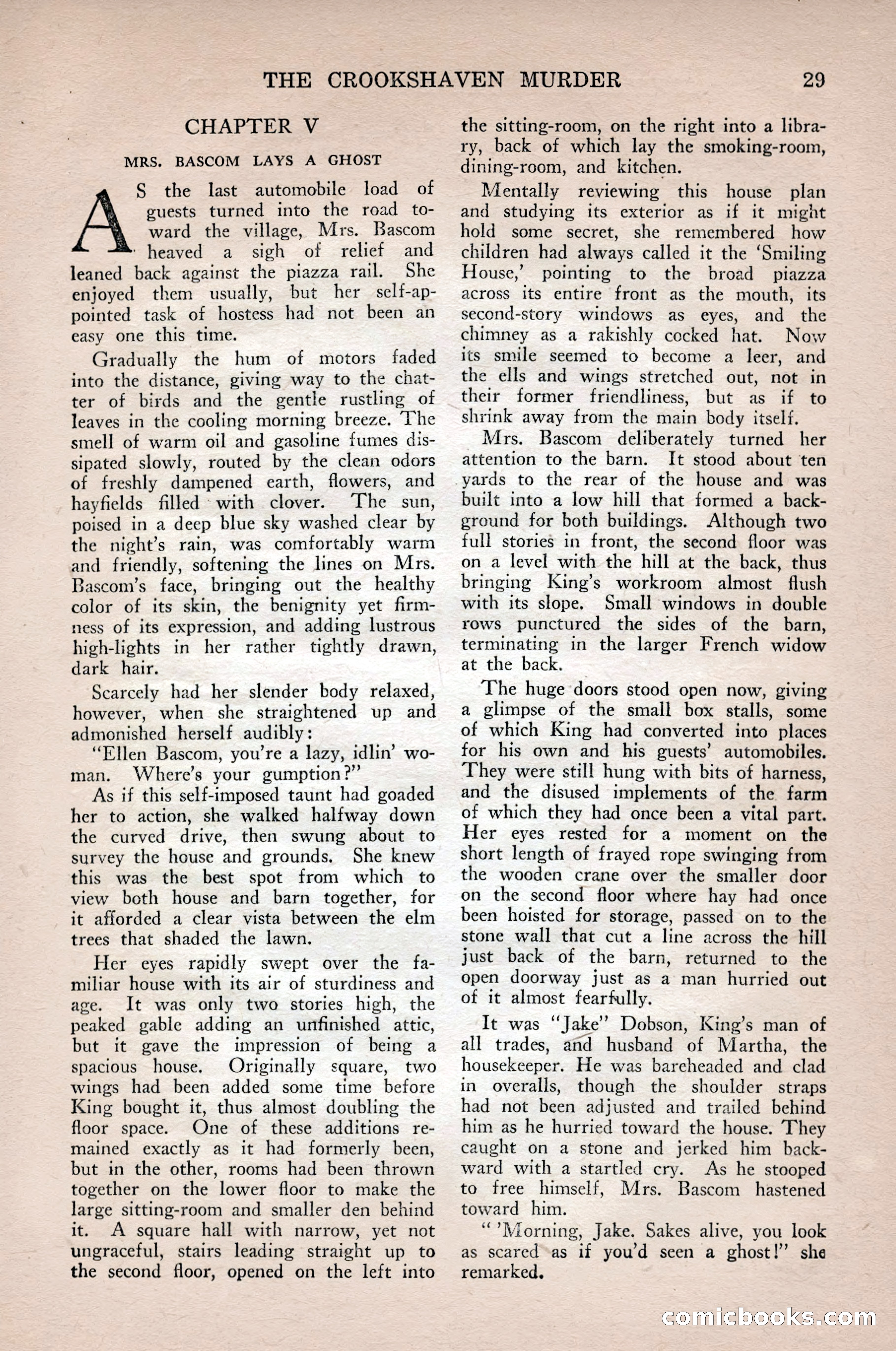 Complete Detective Novel Magazine — page 31 of 132