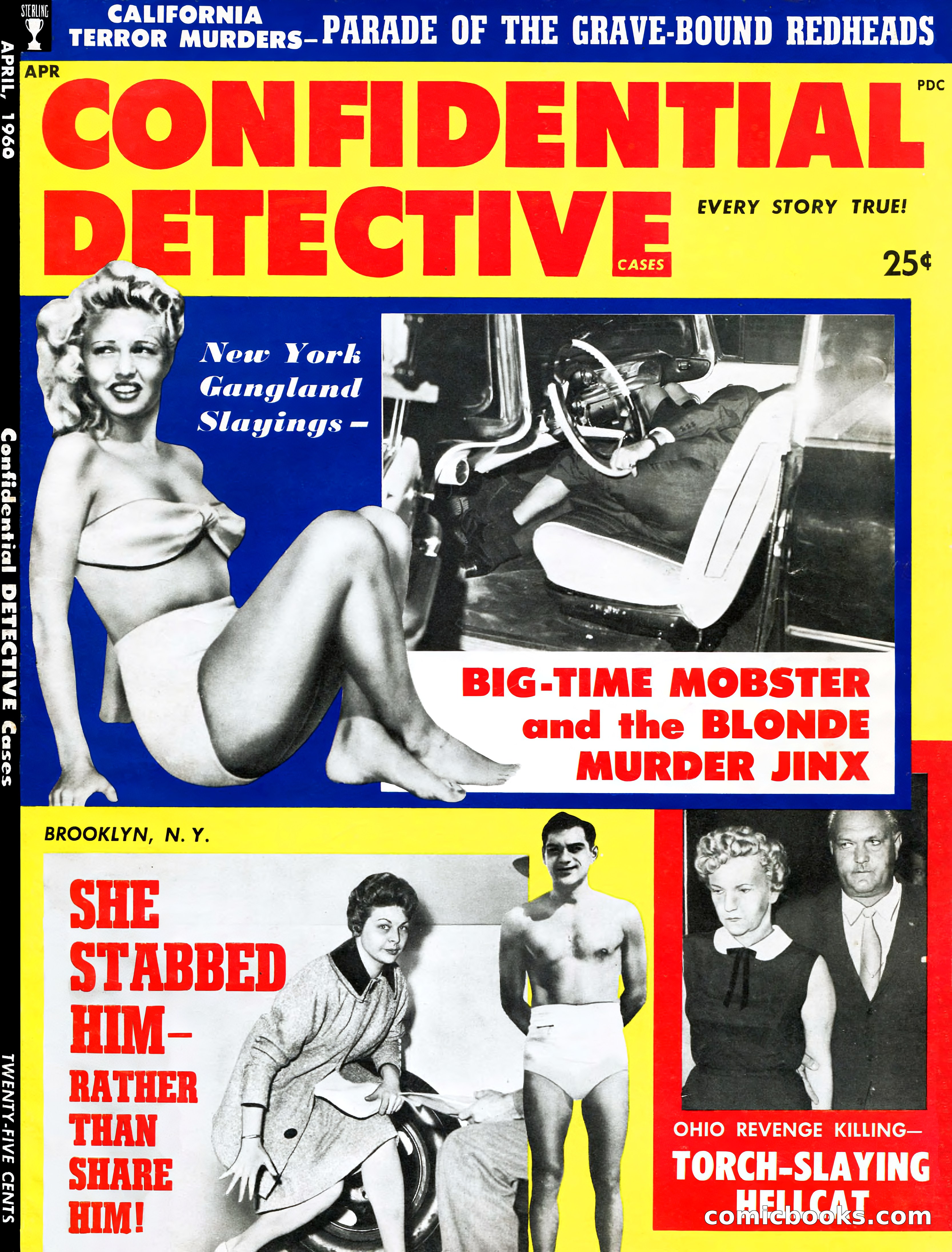 Confidential Detective Cases