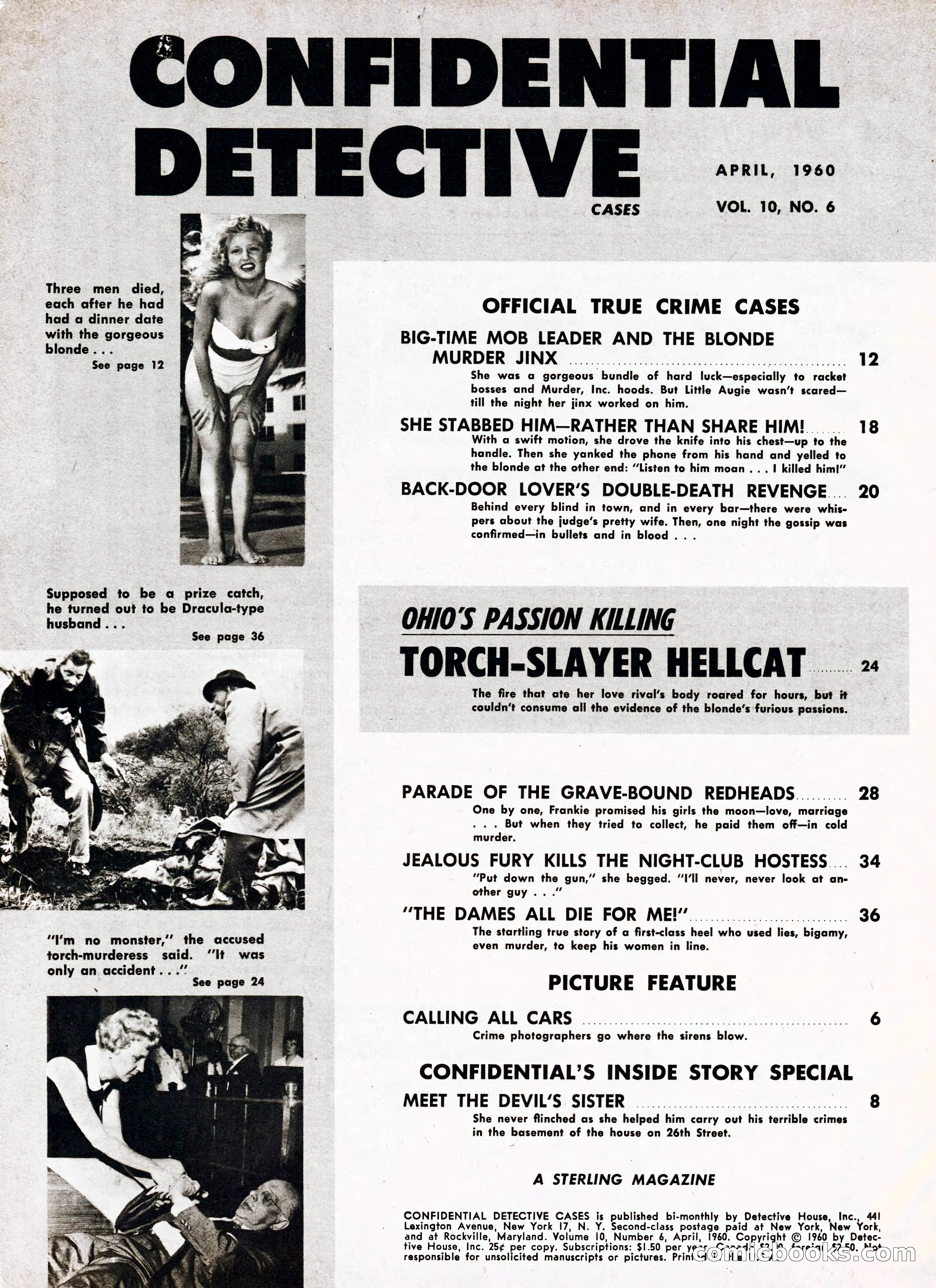 Confidential Detective Cases — page 4 of 68