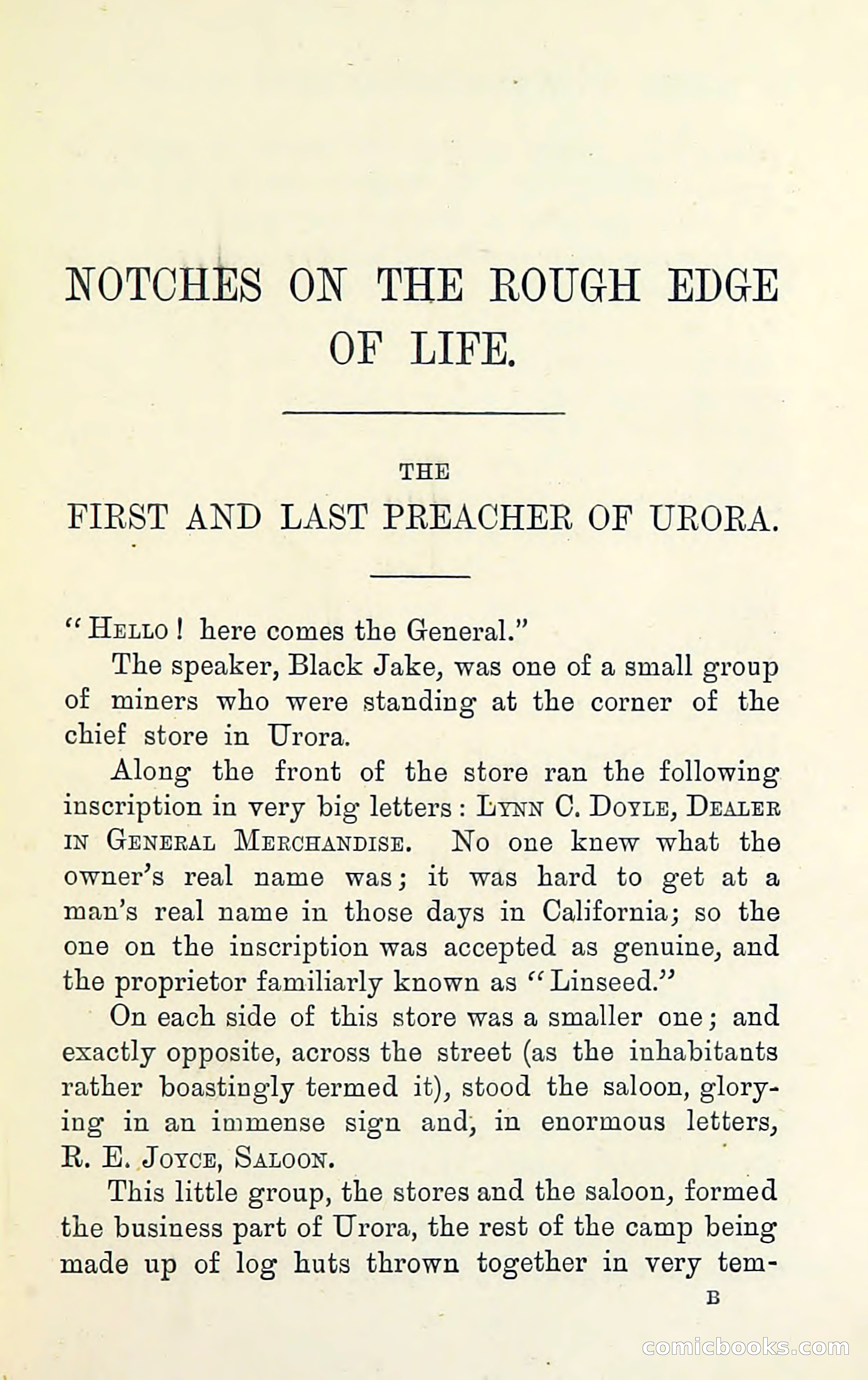 Notches on the Rough Edge of Life — page 15 of 204