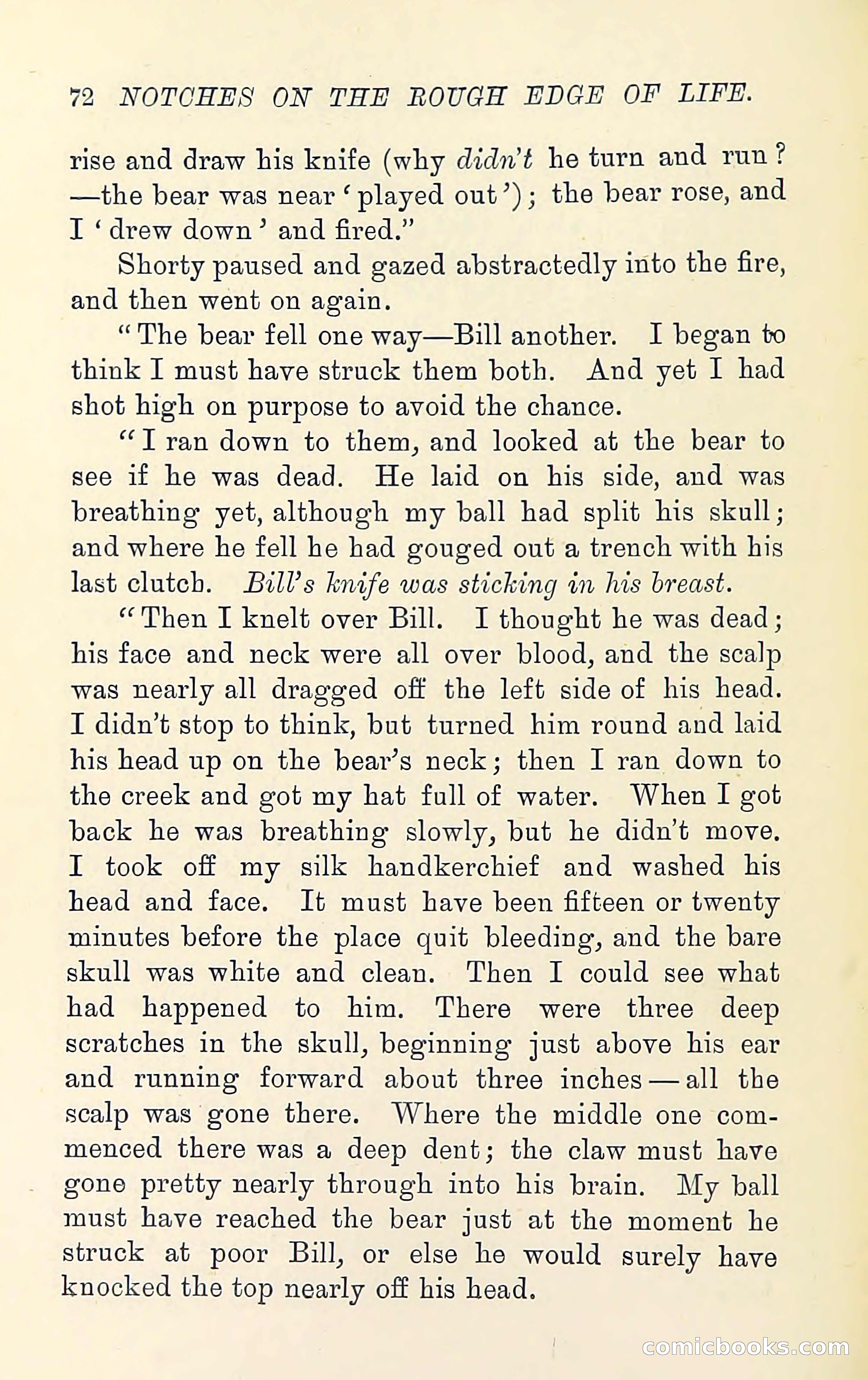 Notches on the Rough Edge of Life — page 86 of 204
