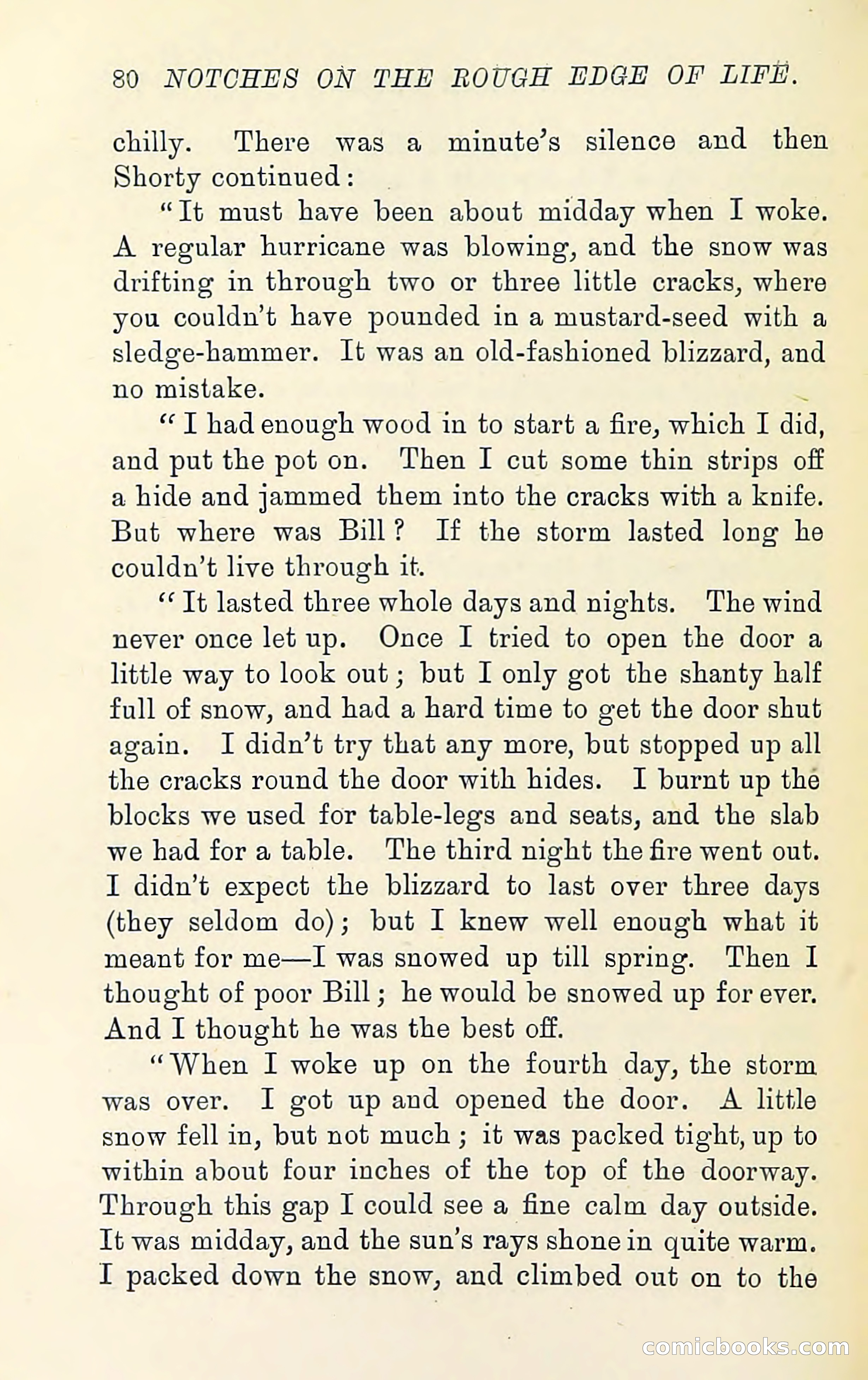 Notches on the Rough Edge of Life — page 94 of 204