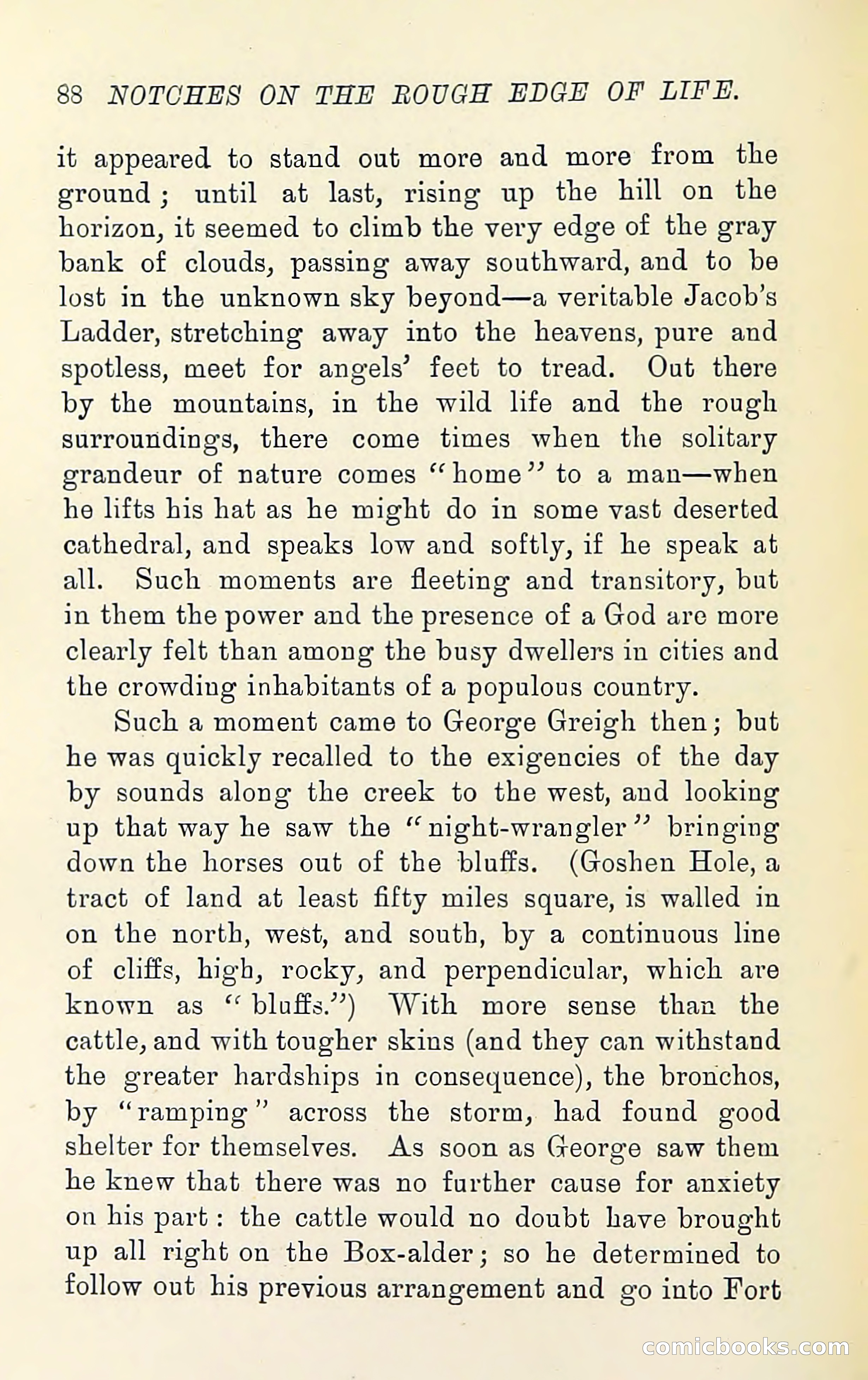 Notches on the Rough Edge of Life — page 102 of 204