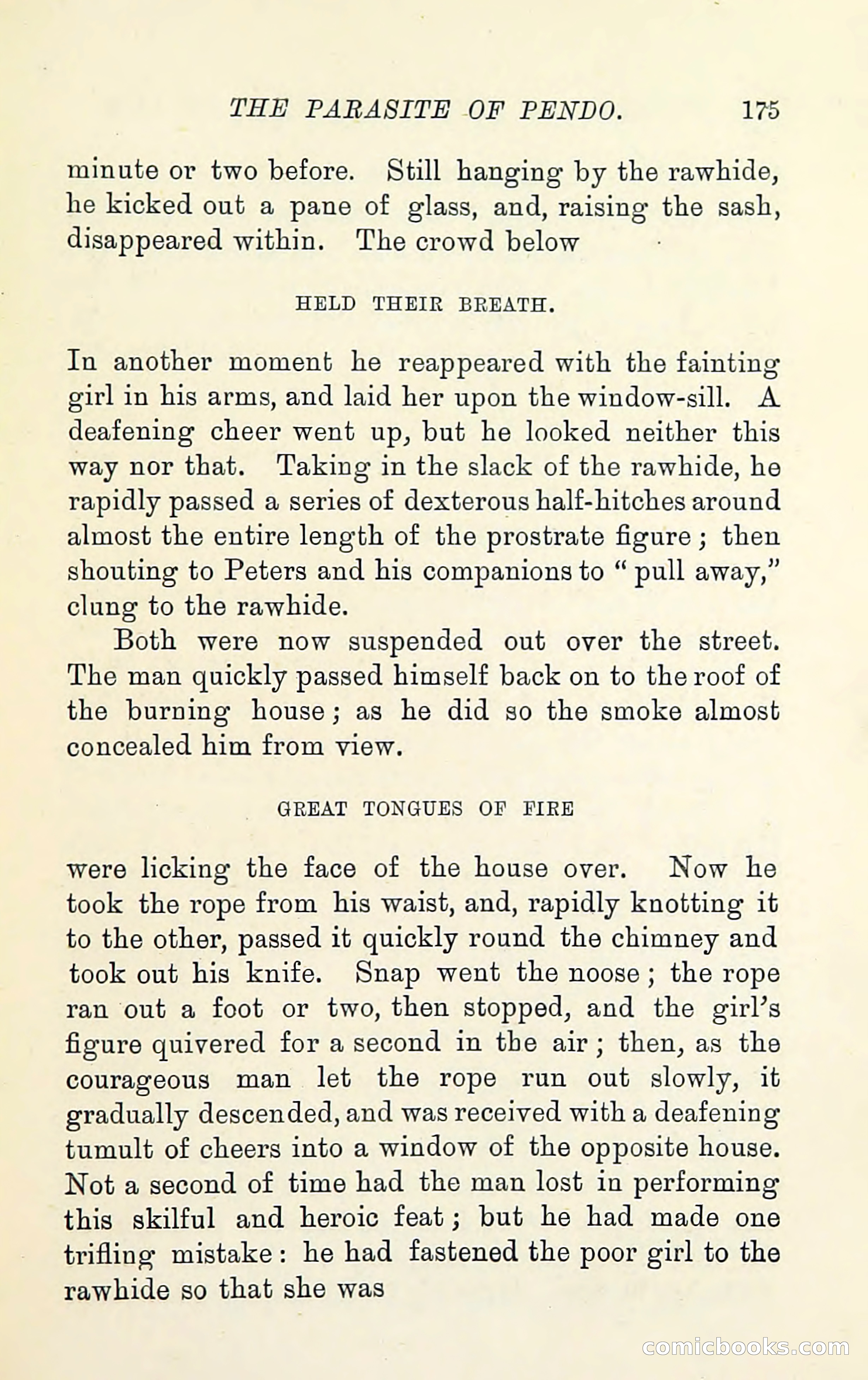 Notches on the Rough Edge of Life — page 189 of 204