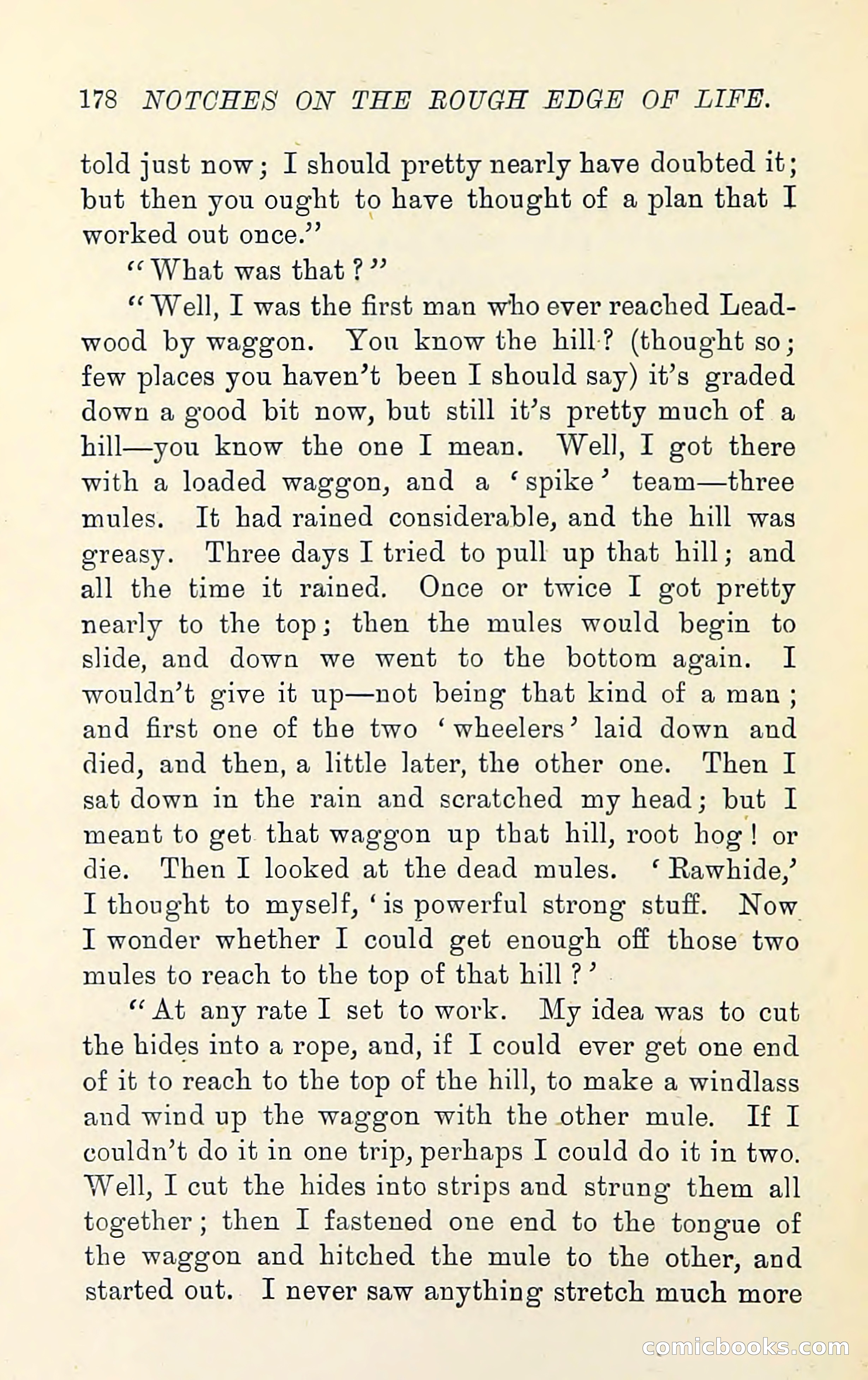 Notches on the Rough Edge of Life — page 192 of 204