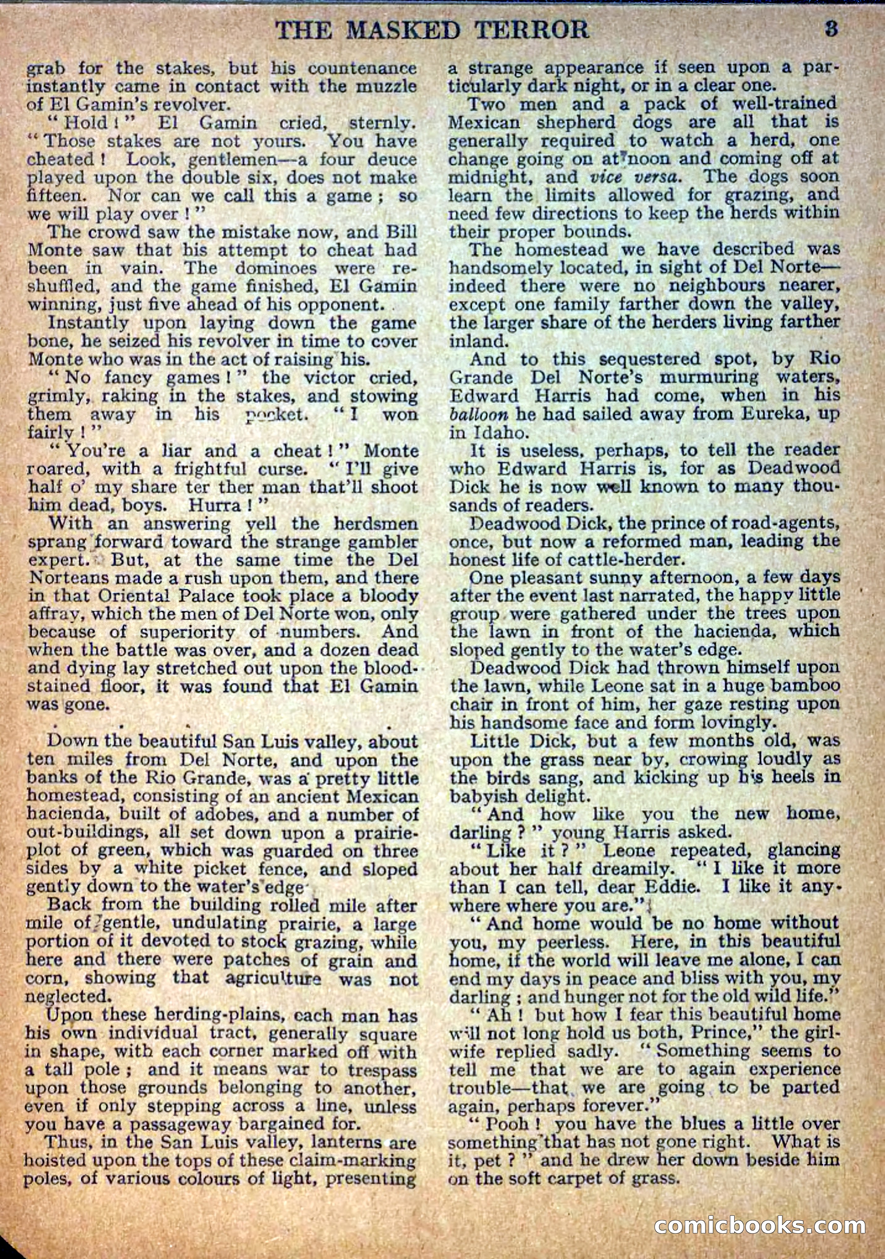 Deadwood Dick Library No. 10 — page 5 of 36