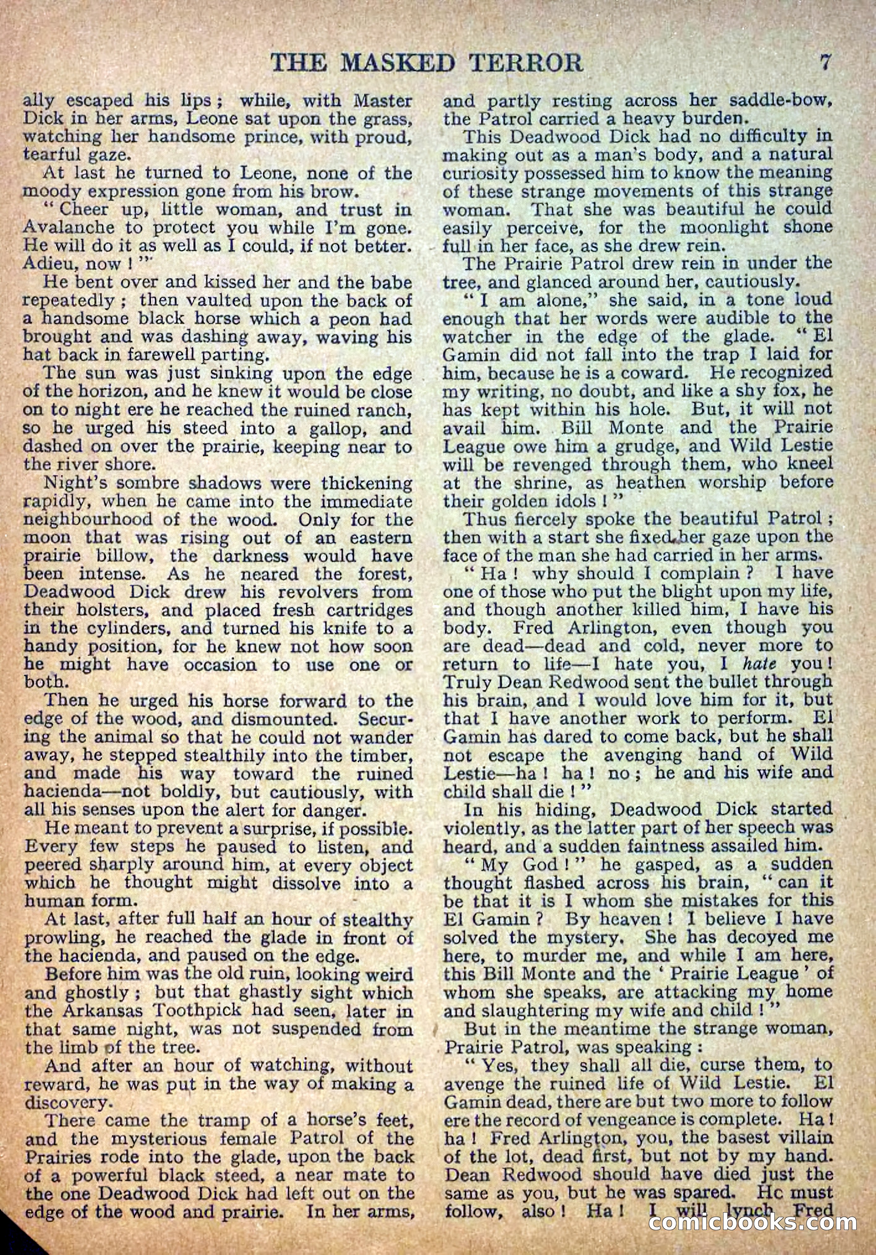 Deadwood Dick Library No. 10 — page 9 of 36