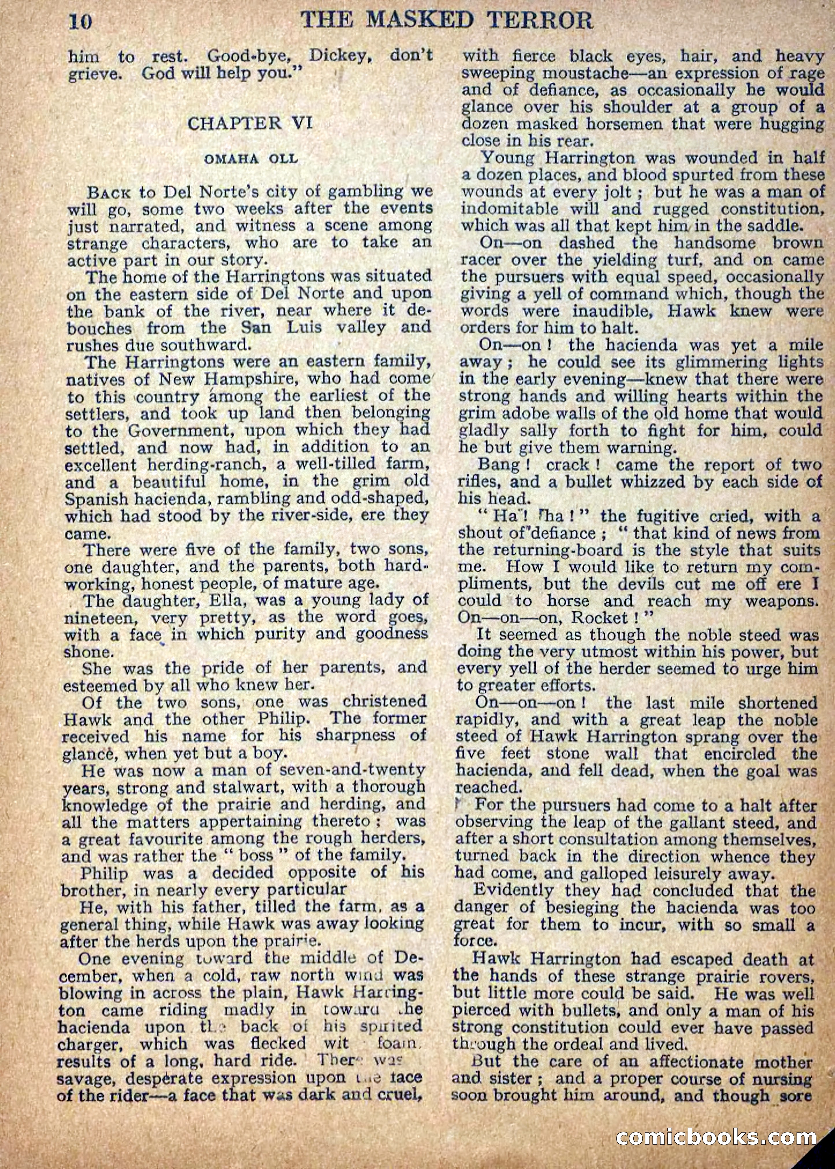Deadwood Dick Library No. 10 — page 12 of 36