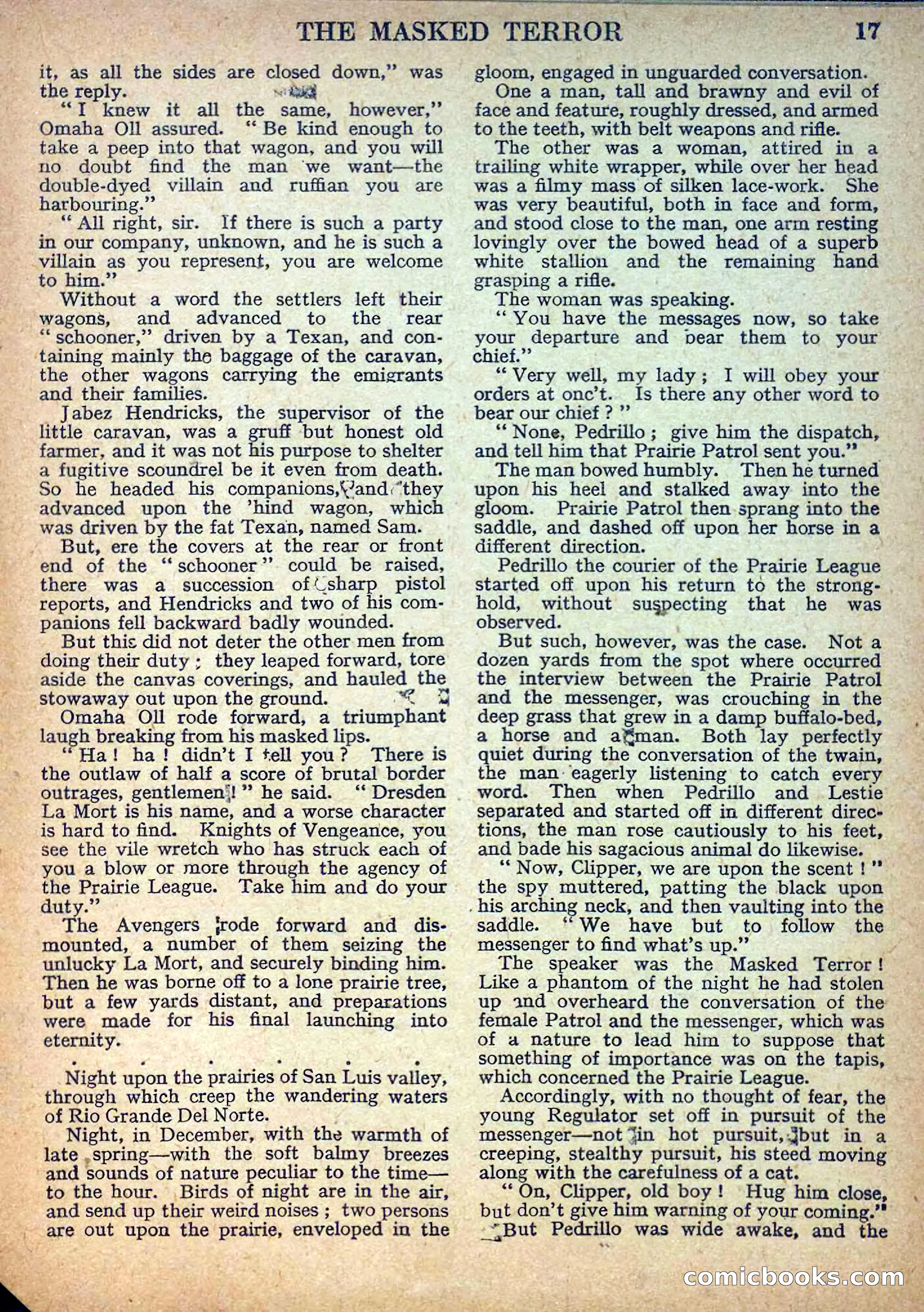 Deadwood Dick Library No. 10 — page 19 of 36