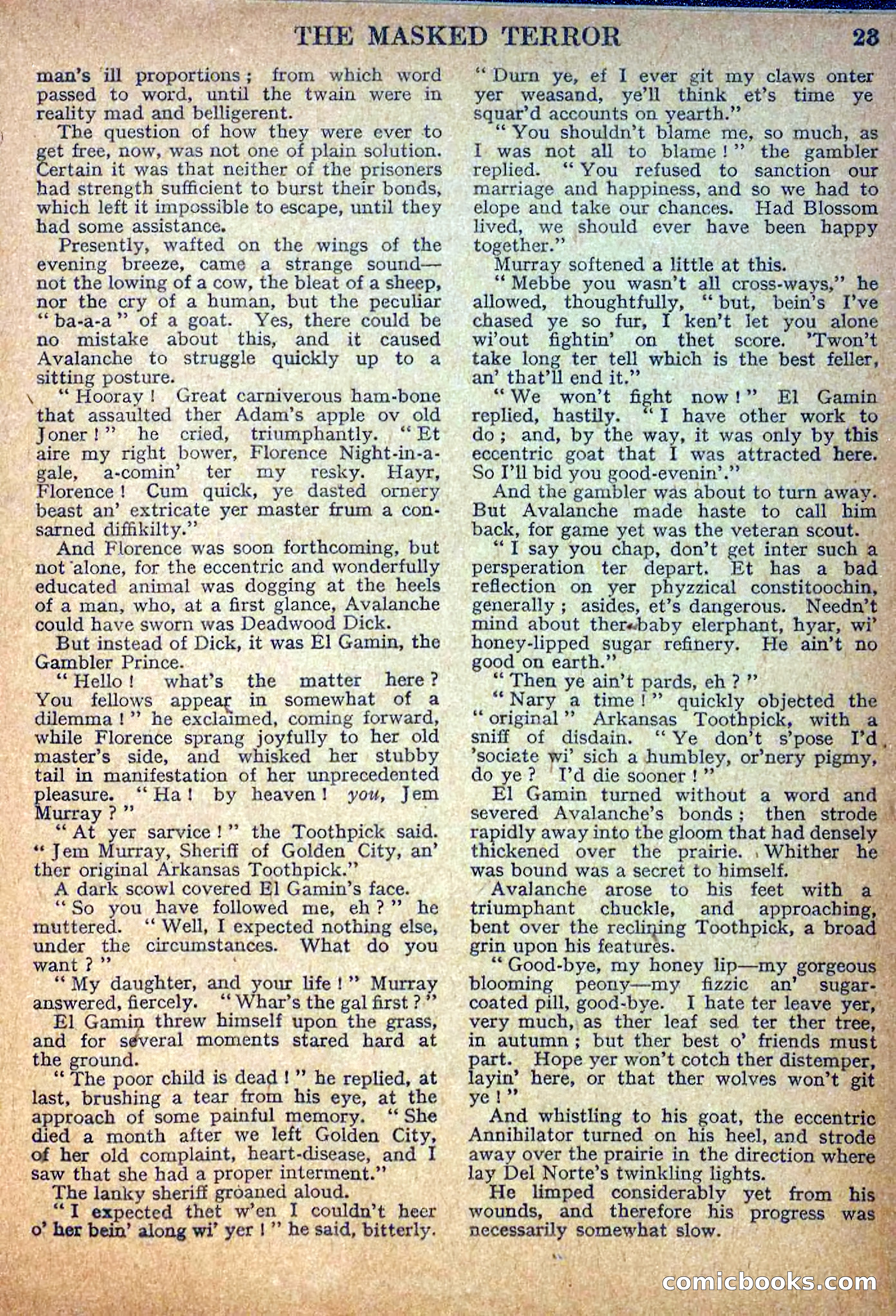 Deadwood Dick Library No. 10 — page 25 of 36