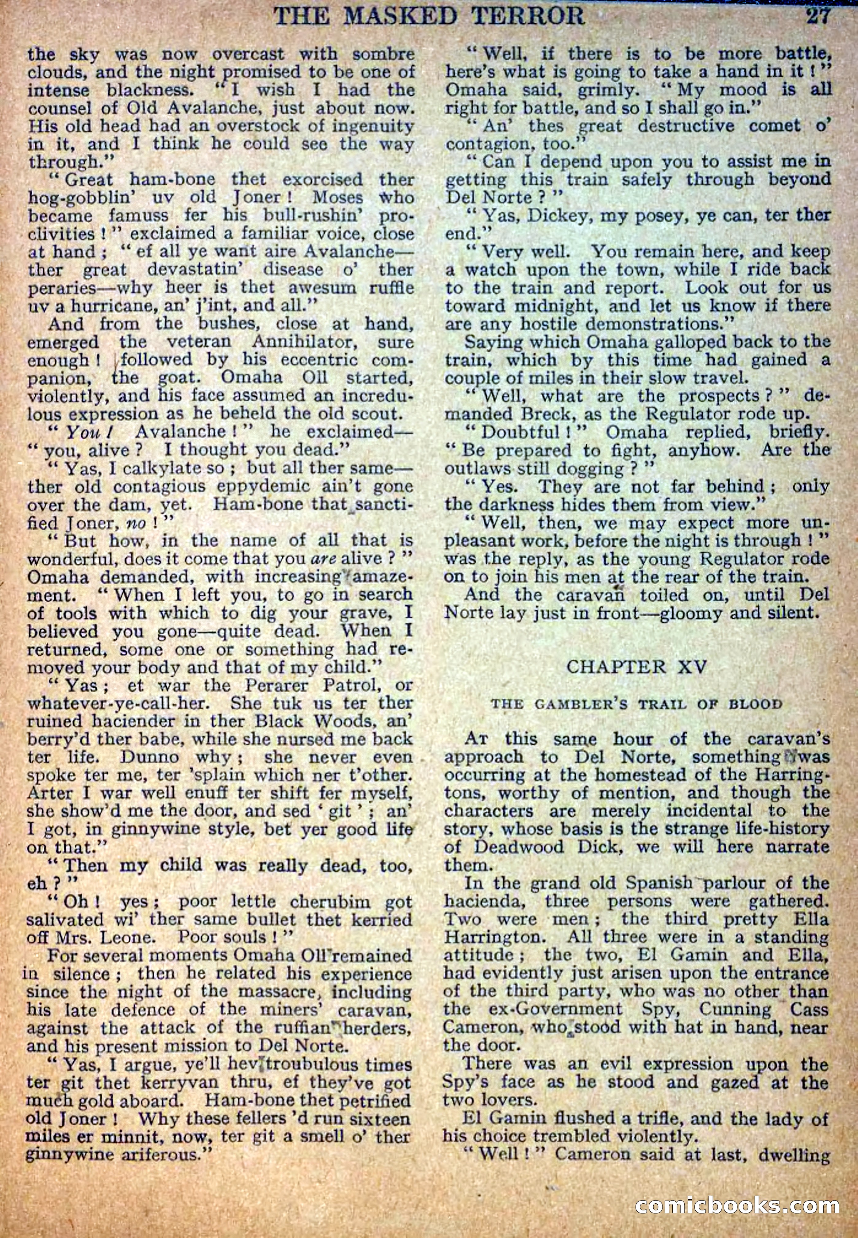 Deadwood Dick Library No. 10 — page 29 of 36