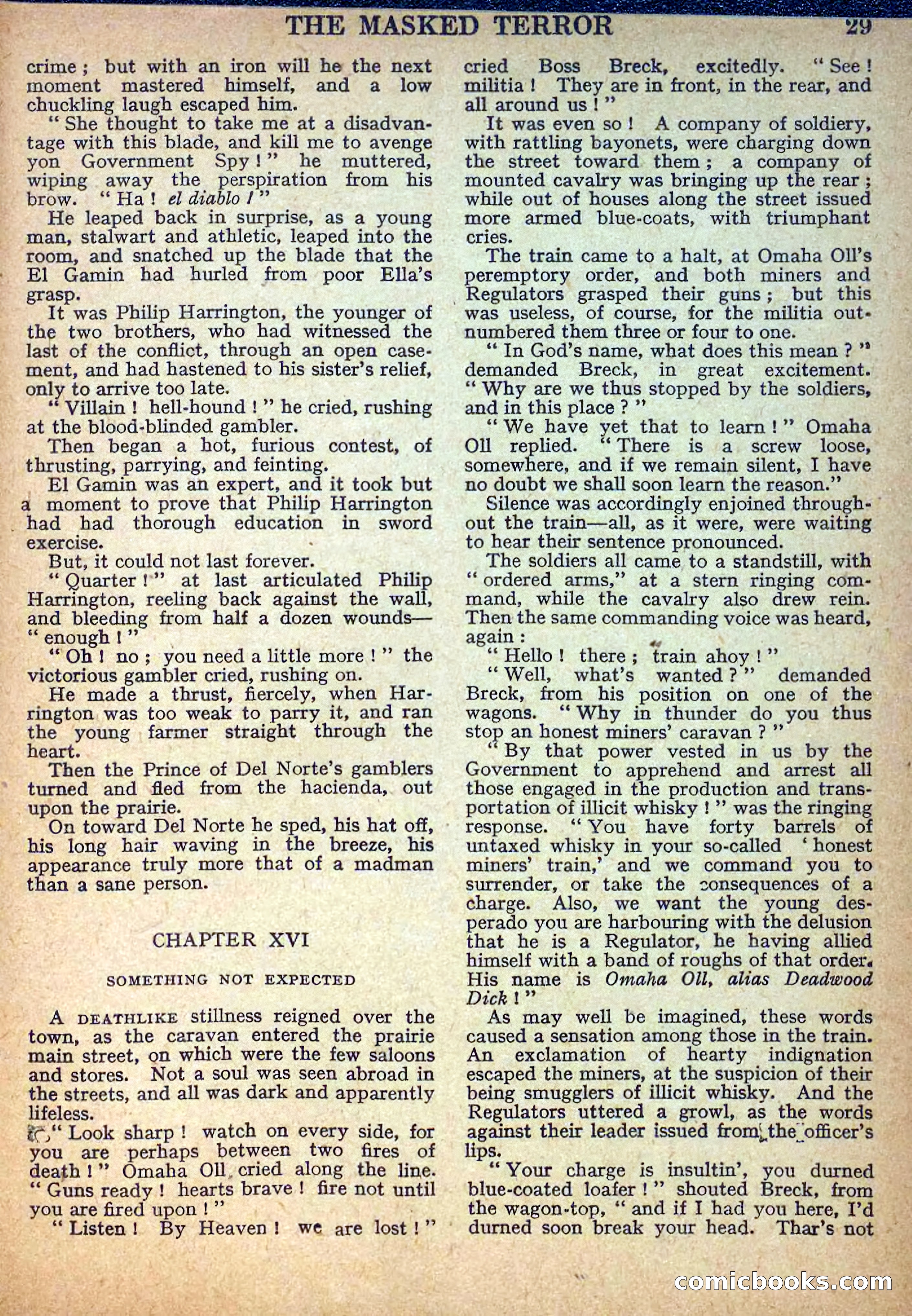 Deadwood Dick Library No. 10 — page 31 of 36